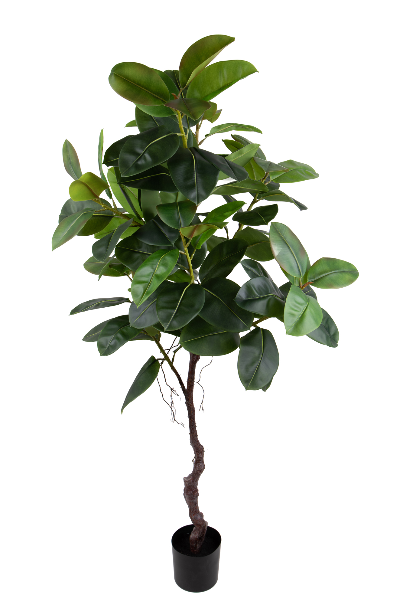 REAL TOUCH RUBBER FICUS 210 CM C/VASO