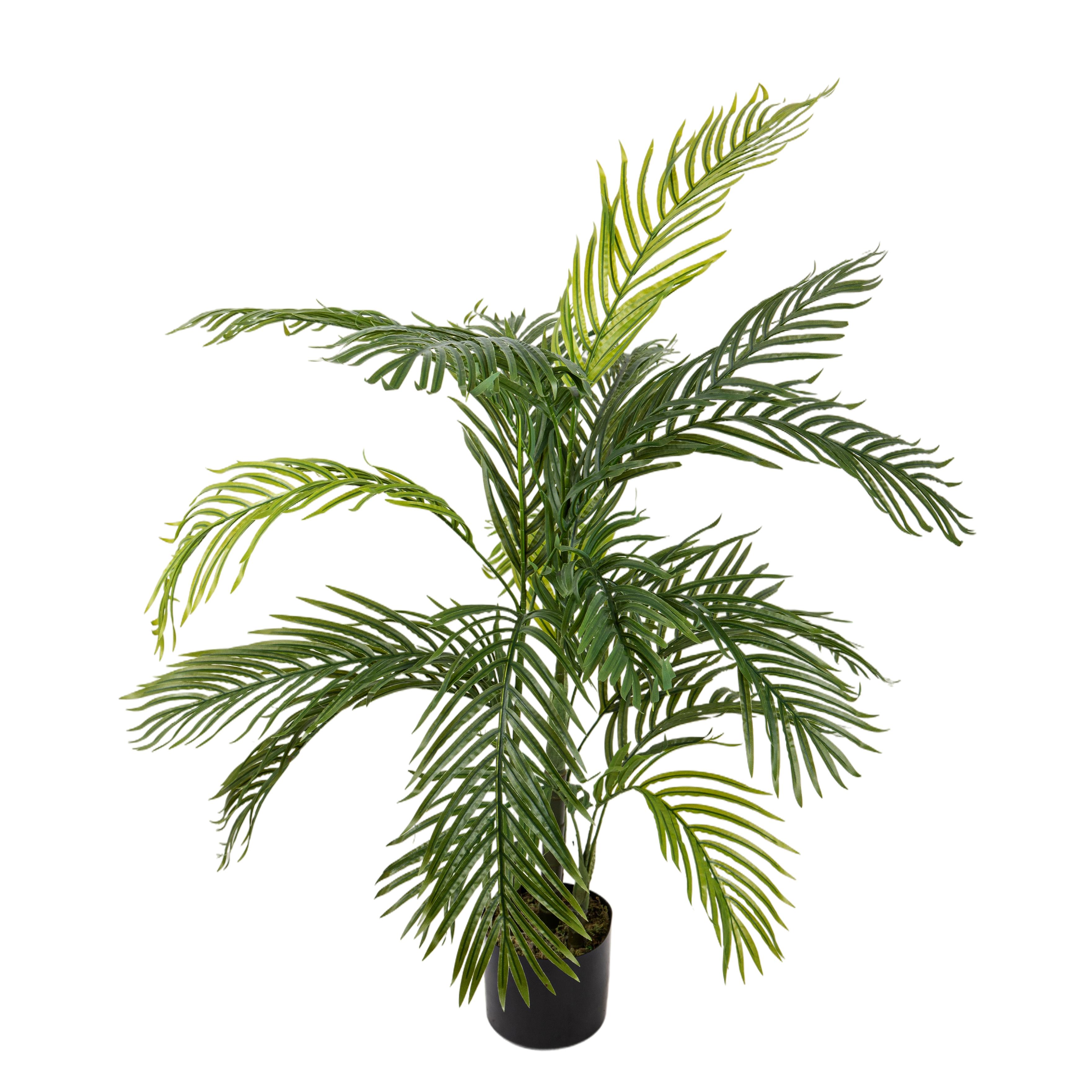Pflanzen, Grüne Topfpflanzen groß, ARECA PALM X 4 120 CM 18 FGL C/VASO
