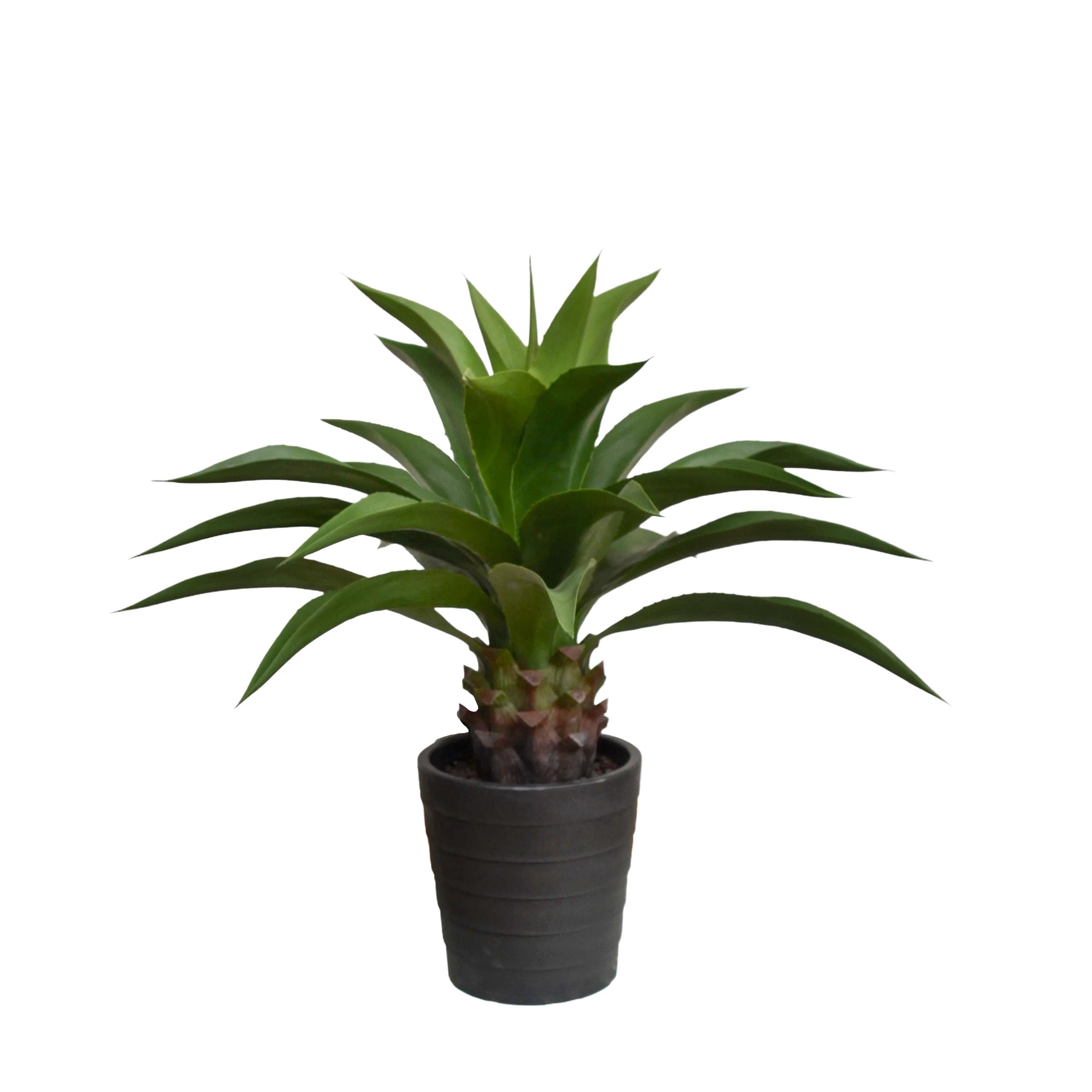 ALOE 90 CM C/VASO