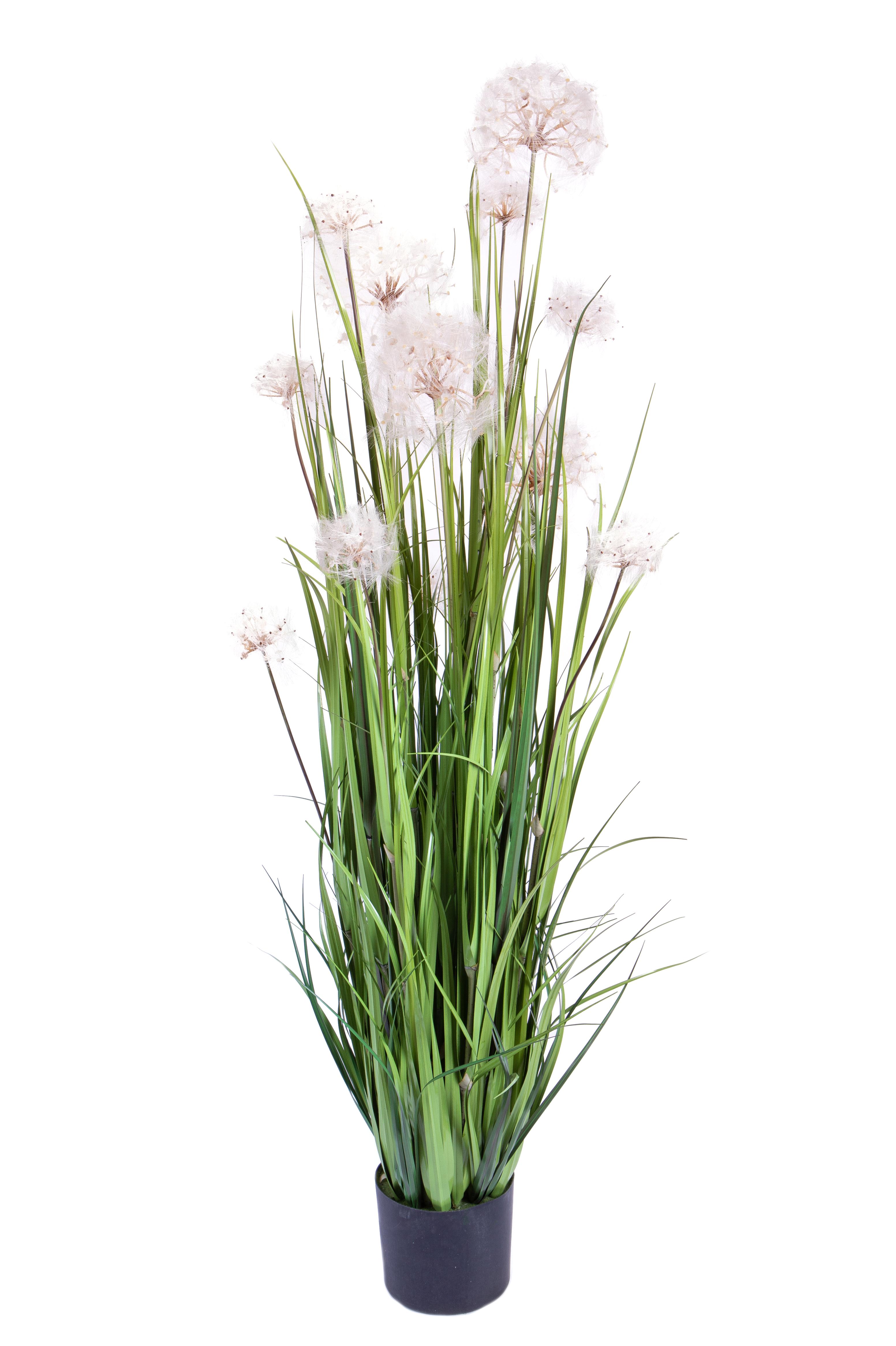 PIANTA DANDELION CM 152 C/VASO