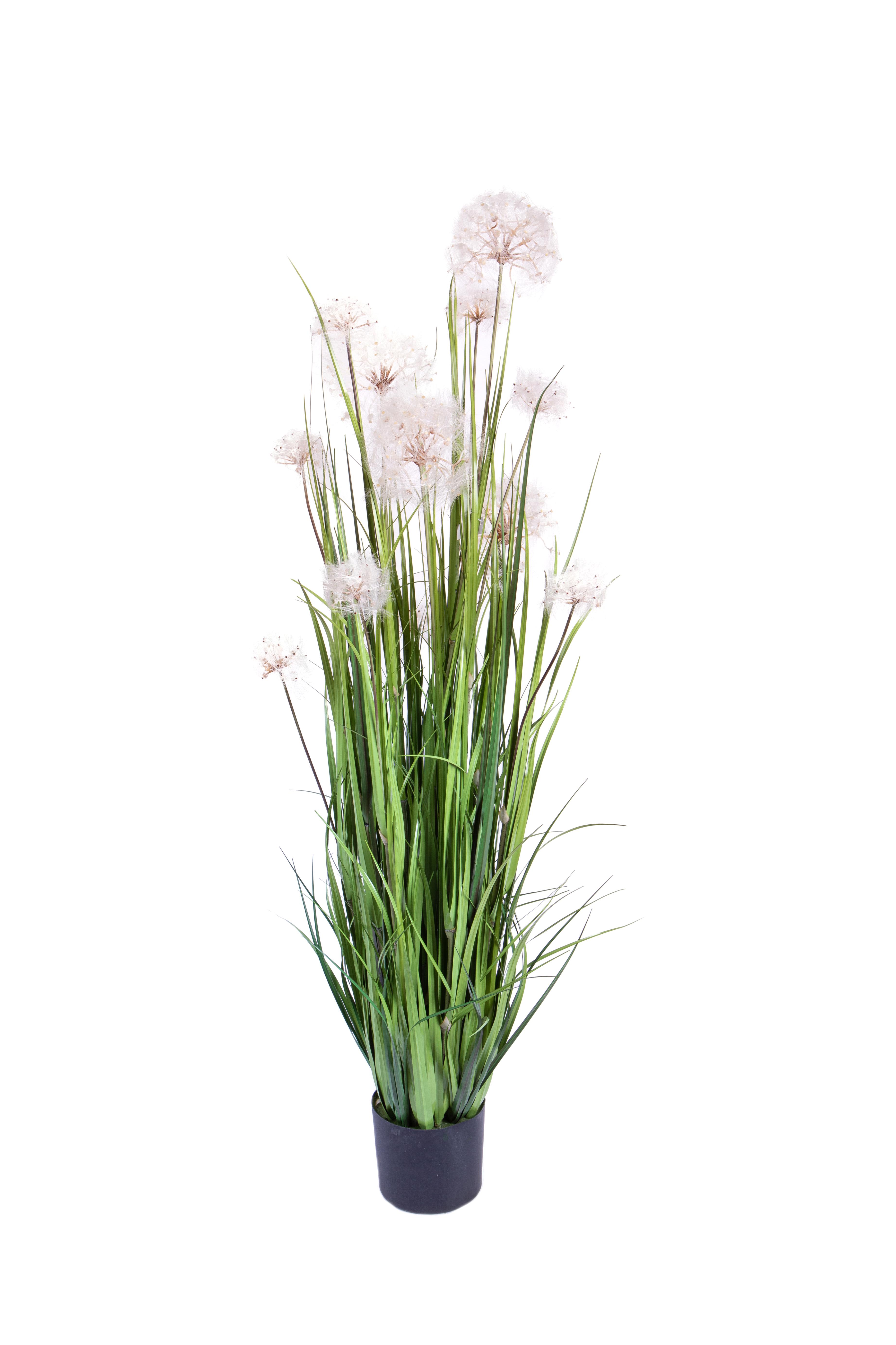 PIANTA 98 CM DANDELION C/VASO