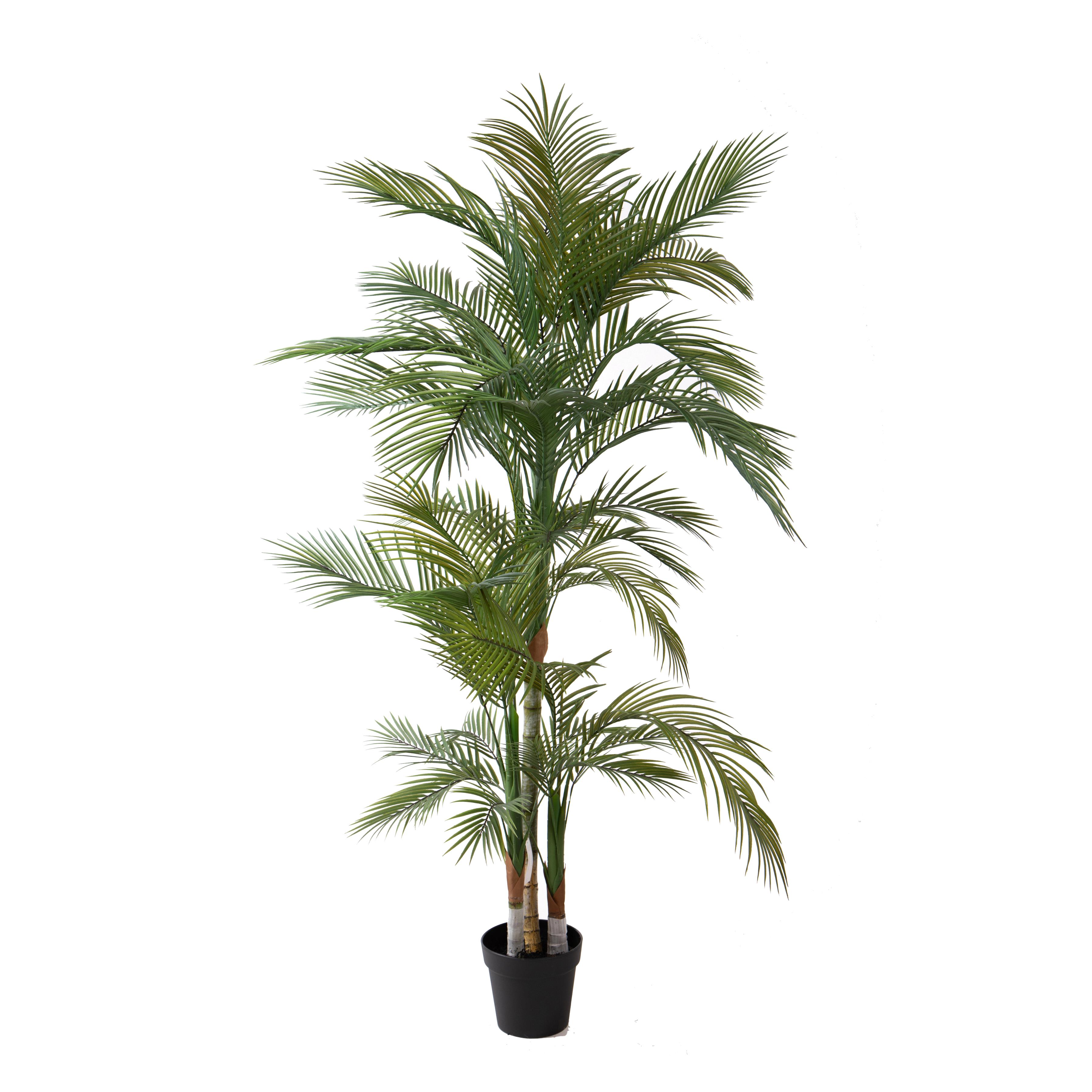 PALMA 185 CM X 36 FGL C/VASO