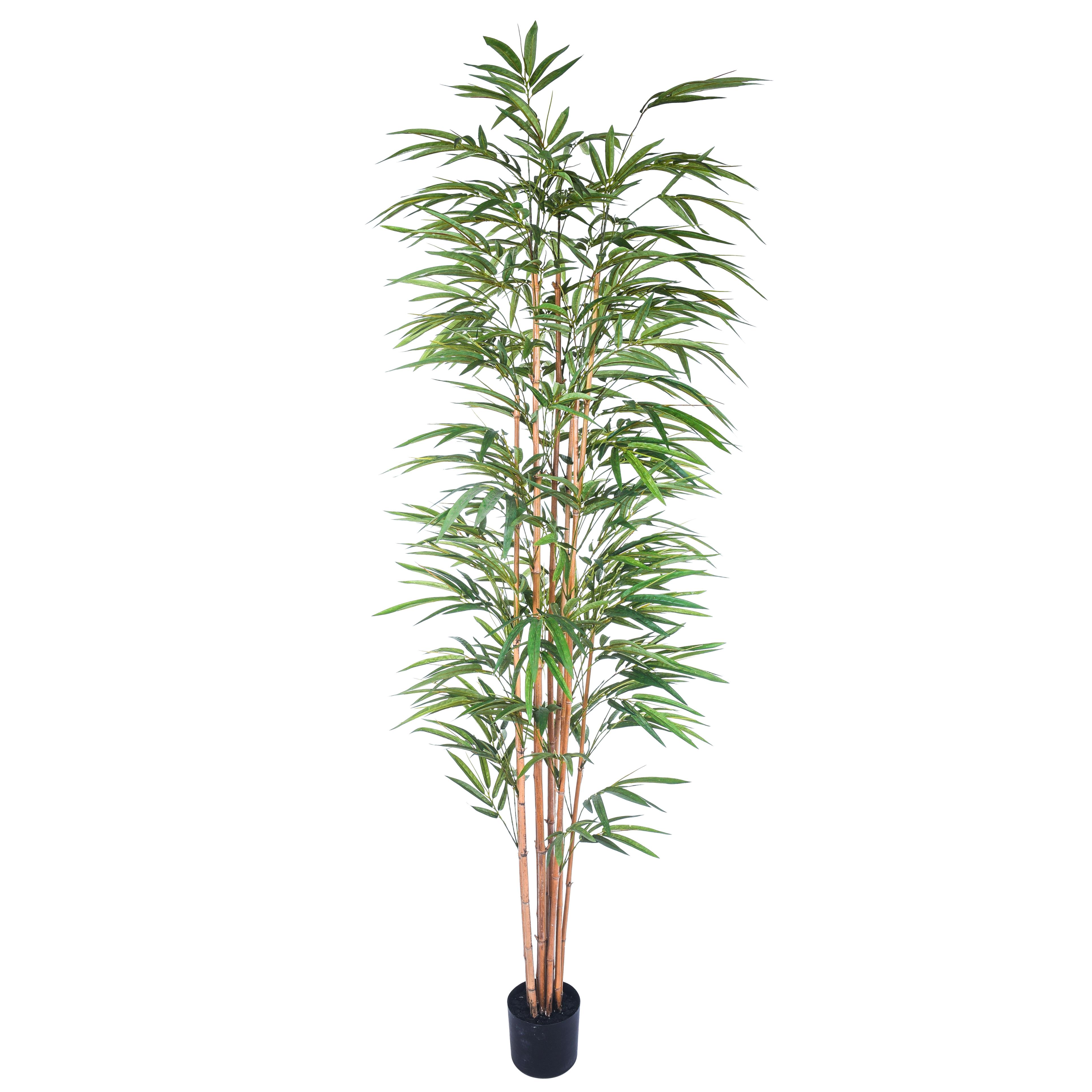 BAMBOO 215 CM C/VASO