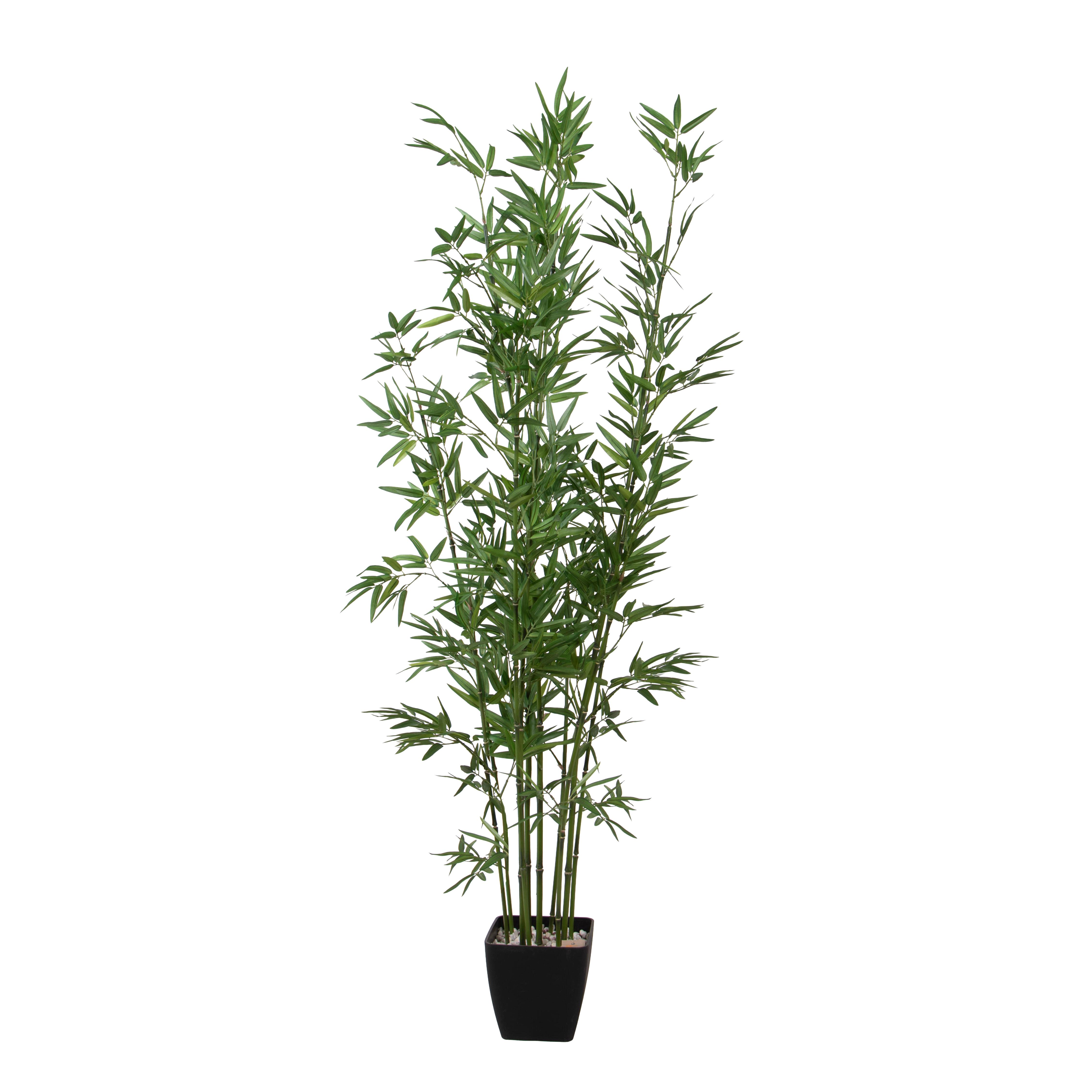 BAMBOO 150 CM 1012FGL C/VASO