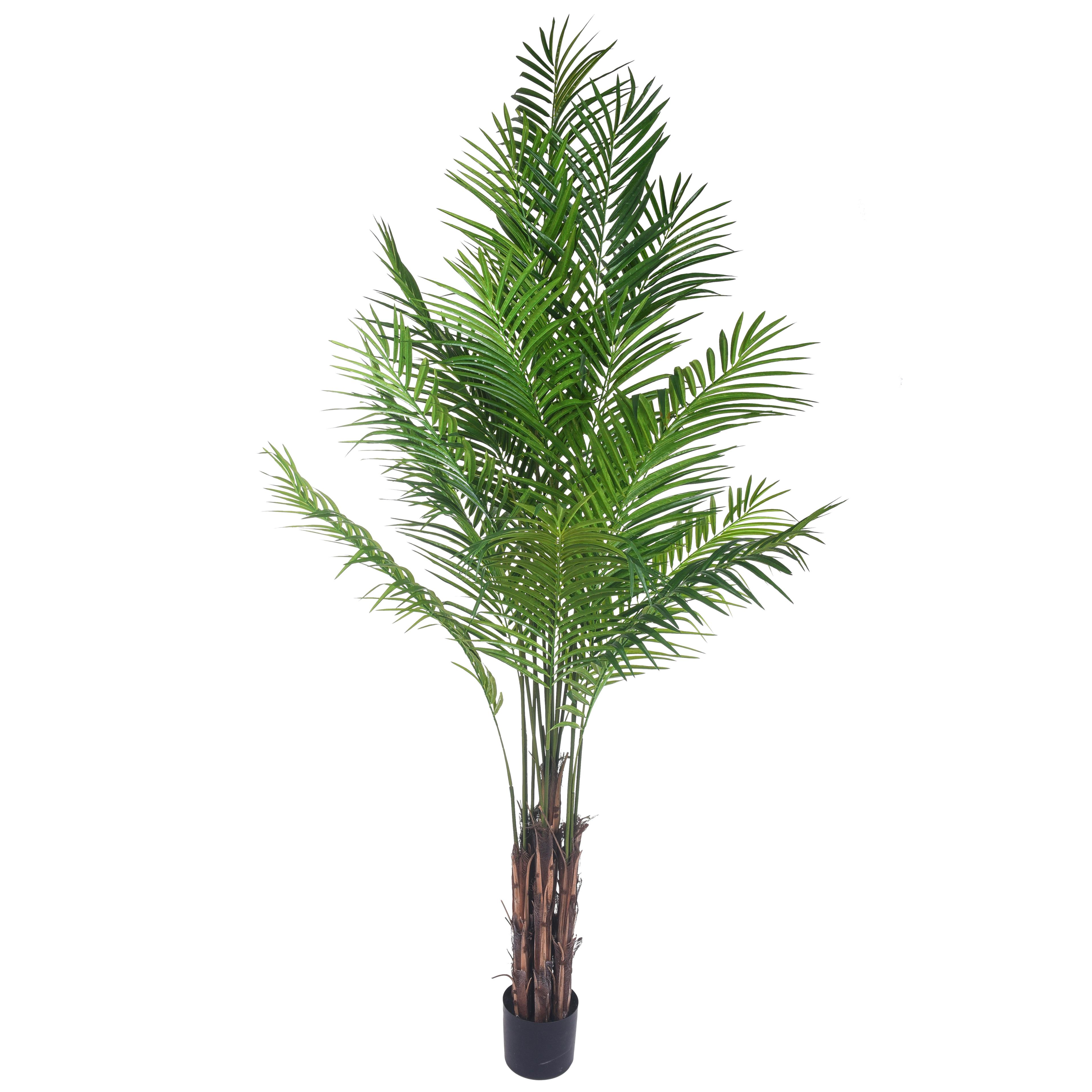 ARECA PALM 210 CM C/VASO