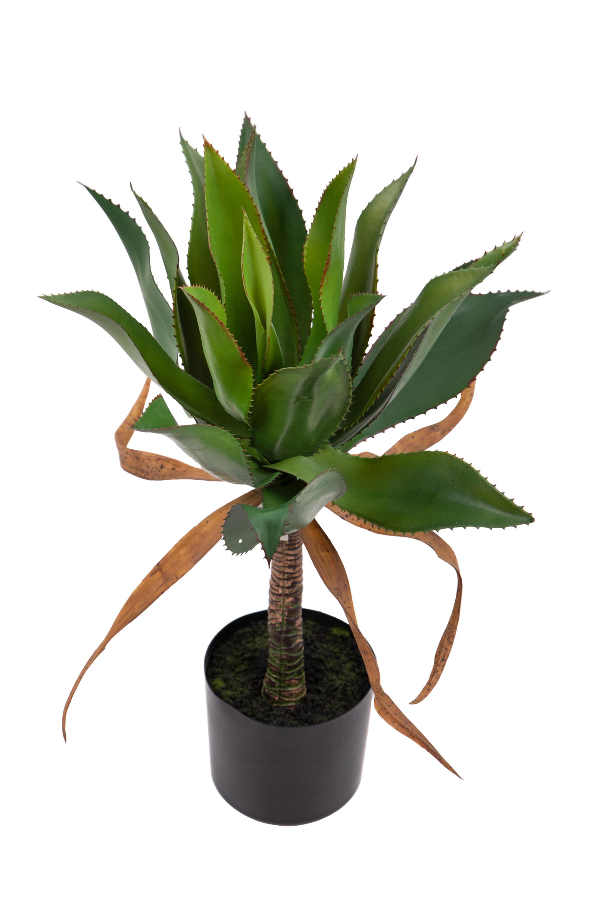 AGAVE 71 CM C/VASO