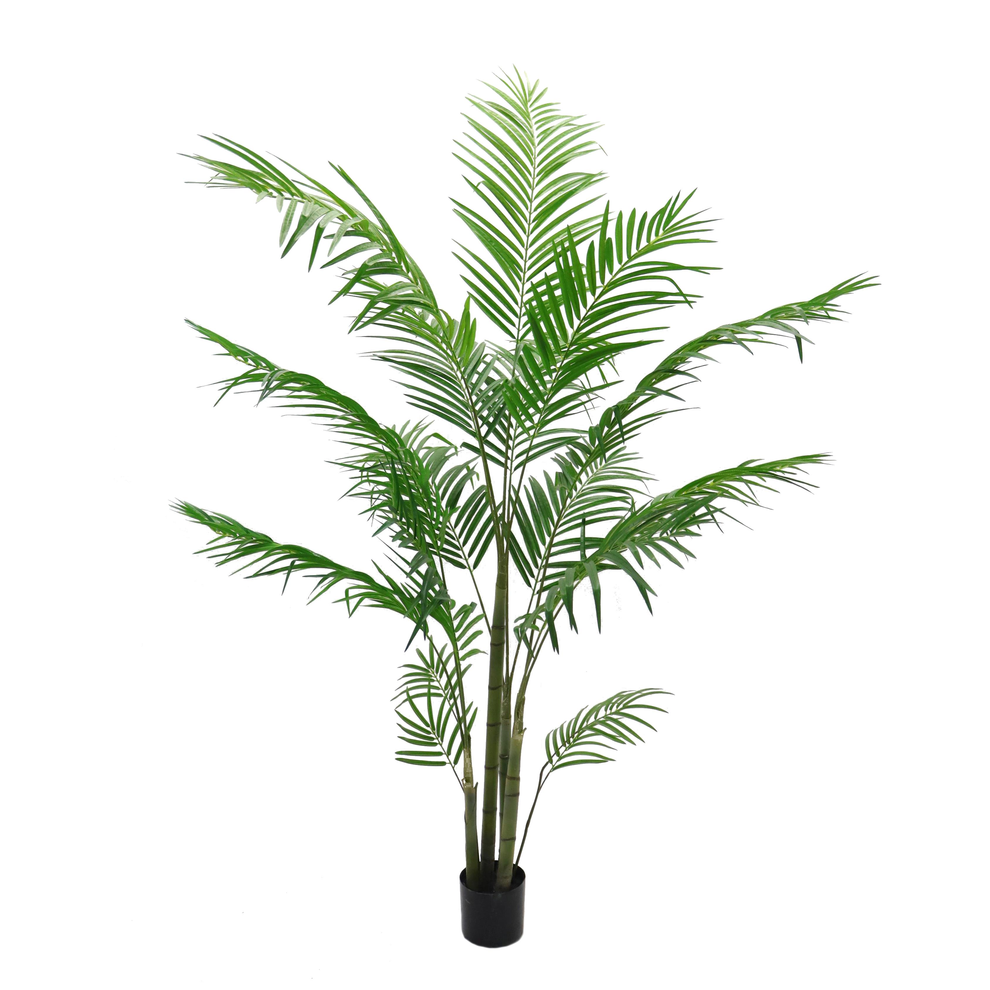 ARECA PALM 185 CM X 14 F C/VASO
