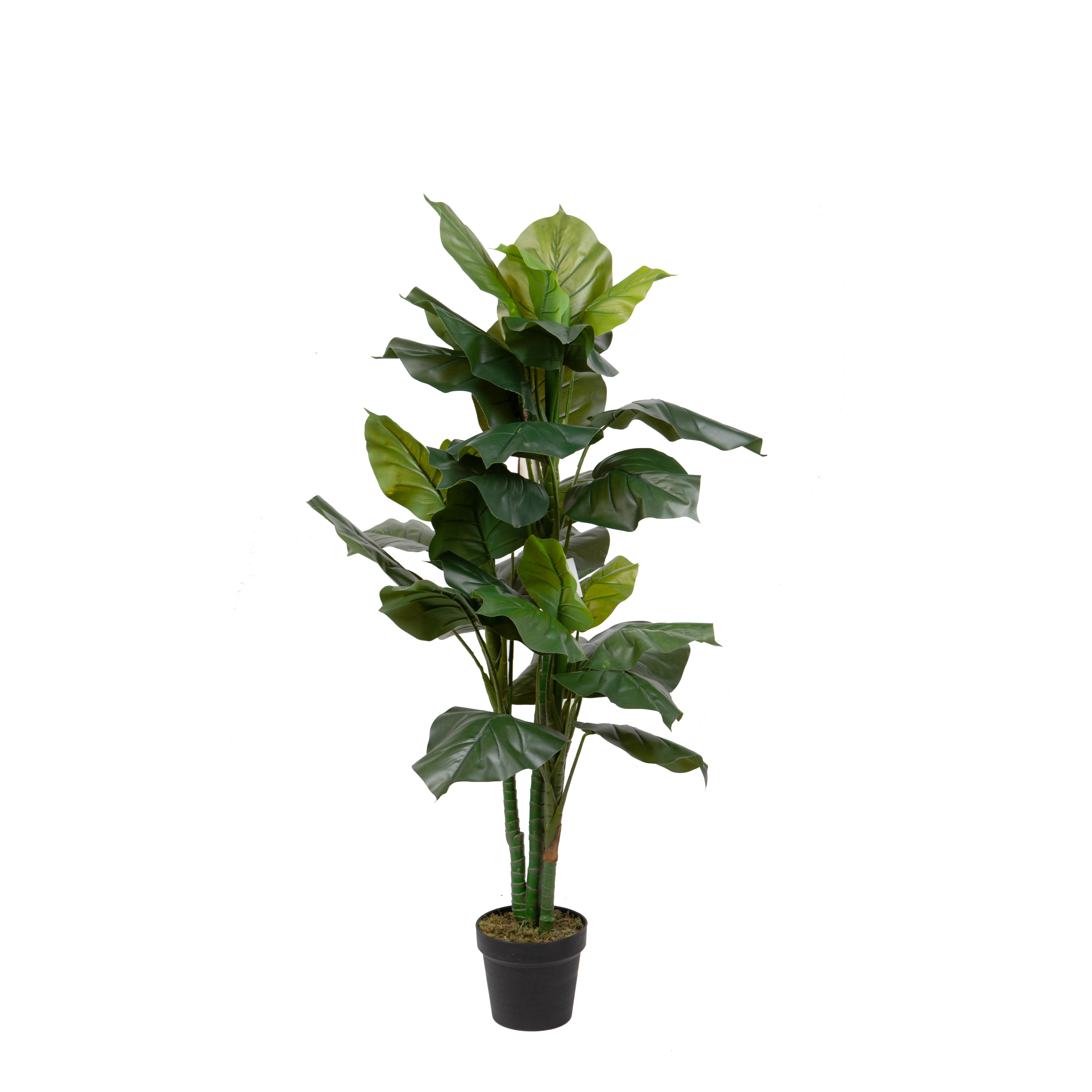 POTOS X 3 130 CM 36 FGL C/VASO