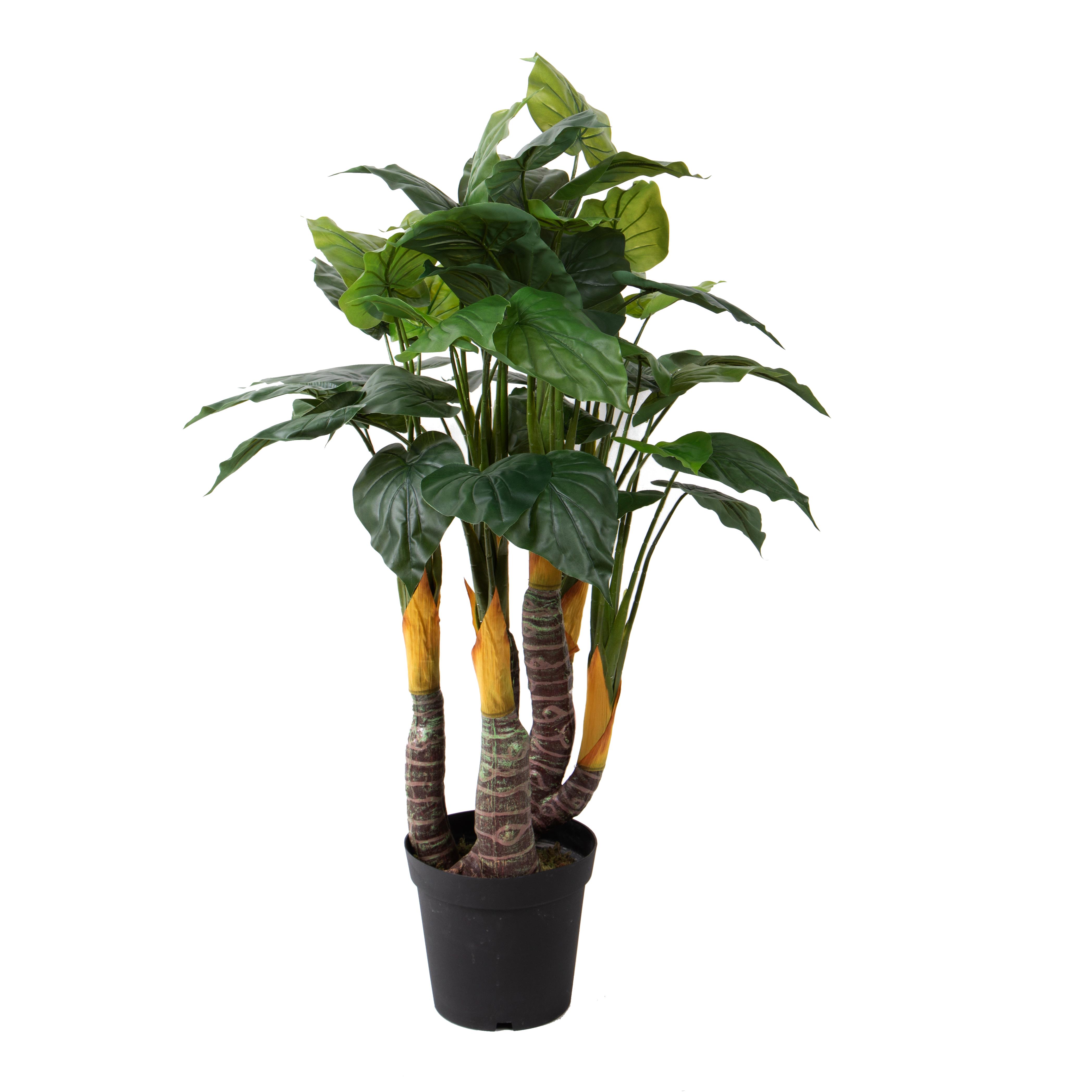 TARO PIANTA 125 CM 38 FGL C/VASO