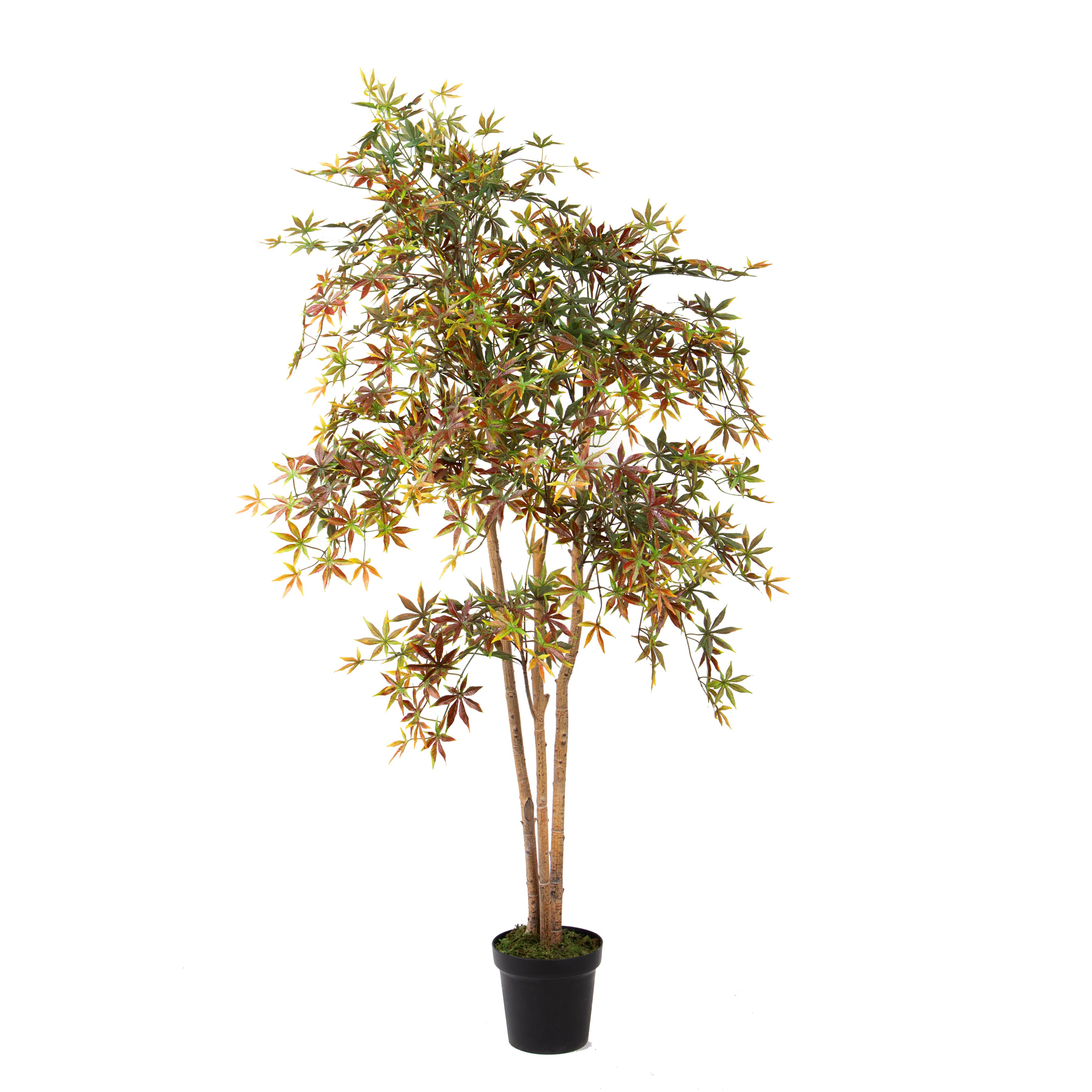 MINI ACERO 182 CM 573 FGL C/VASO