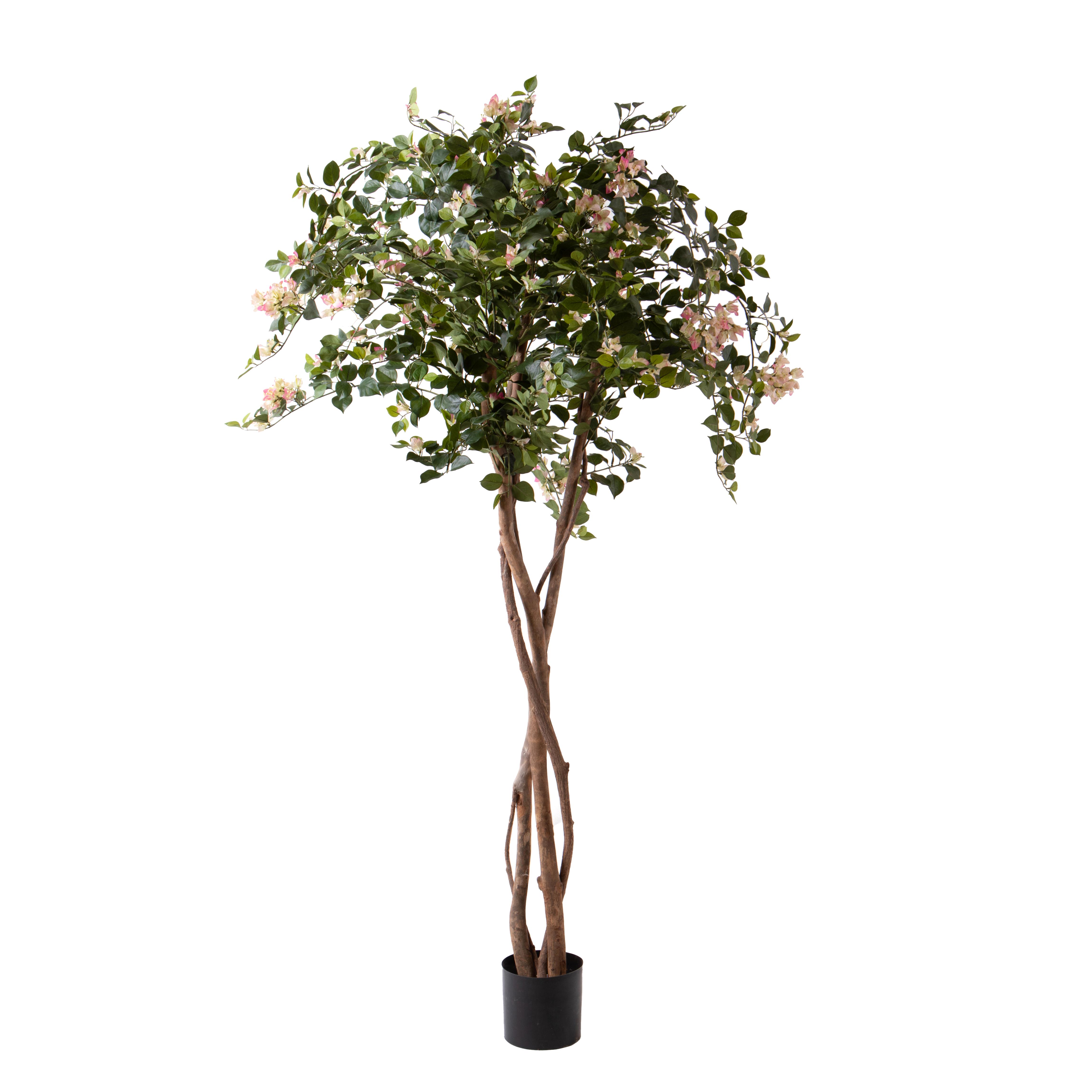 BOUGANVILLE 180 CM 290 FIORI C/VASO