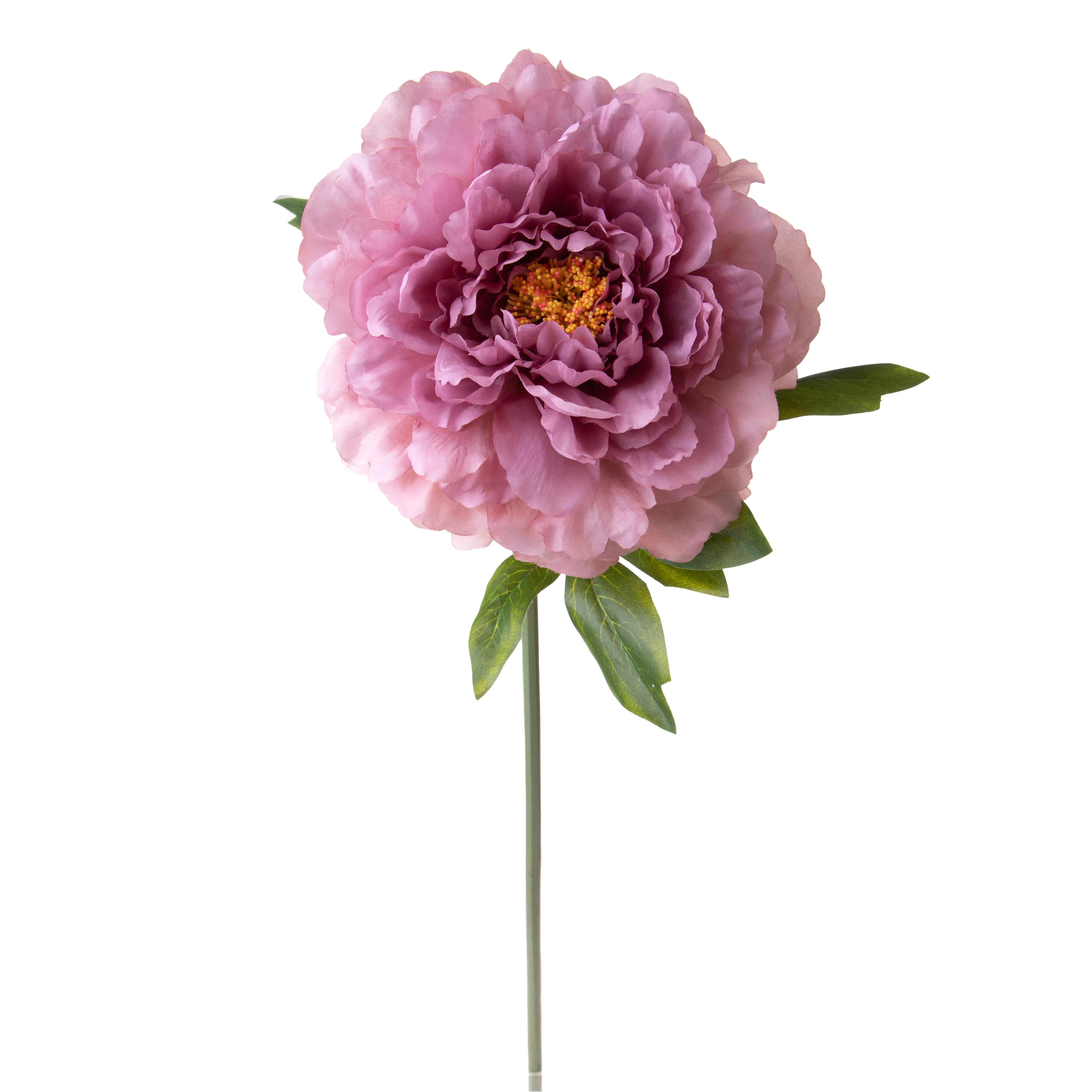 PEONIA 65 CM