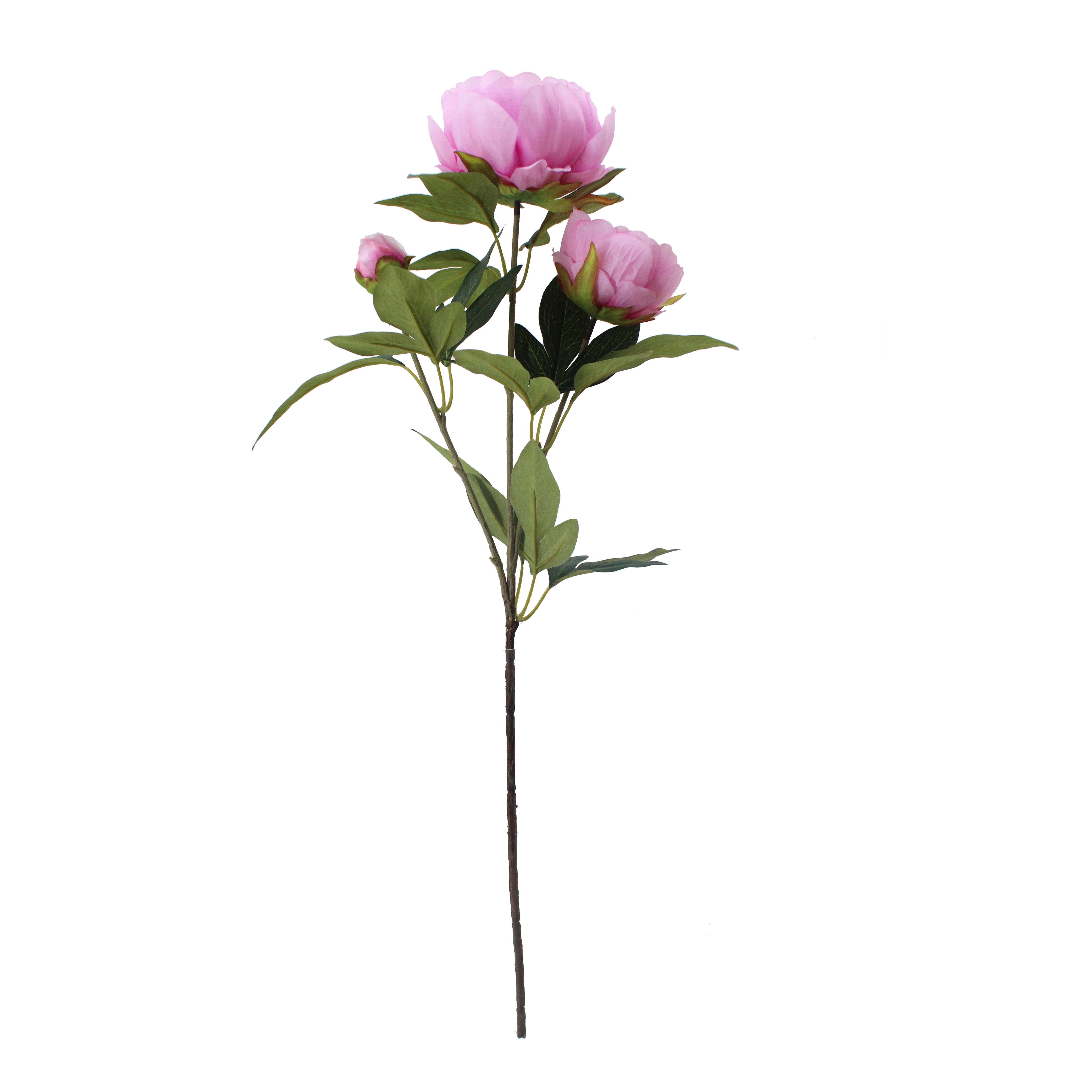 PEONIA X 3 74 CM