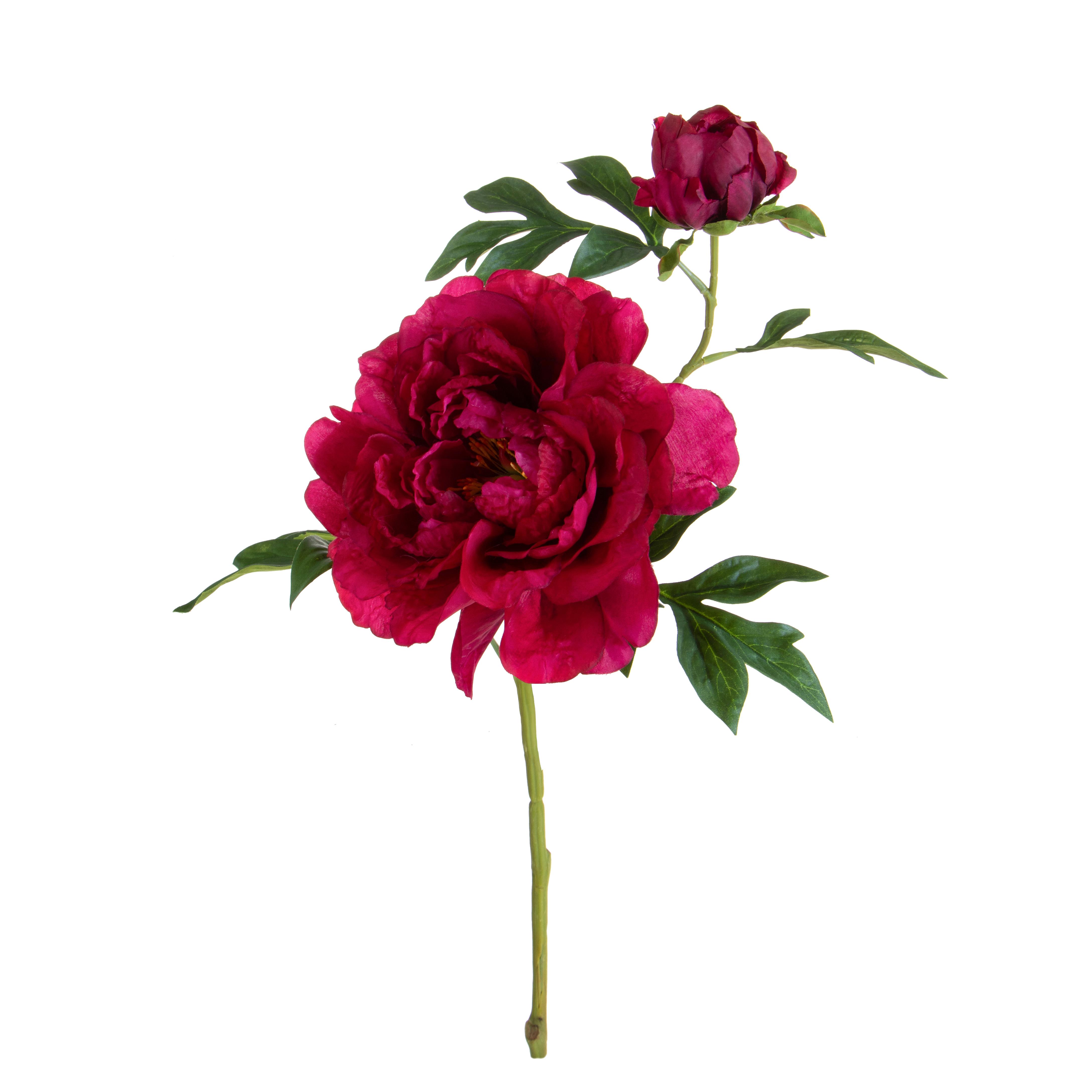 PEONIA GRANDE H.65 CM