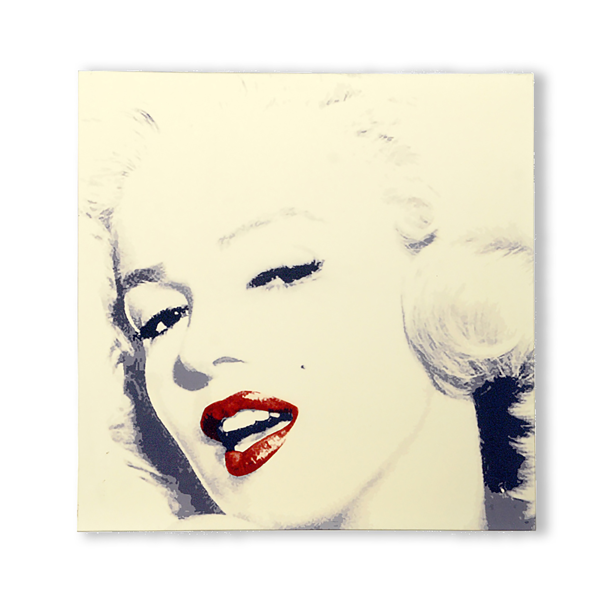 QUADRO 60X60 CM MARILYN **SC