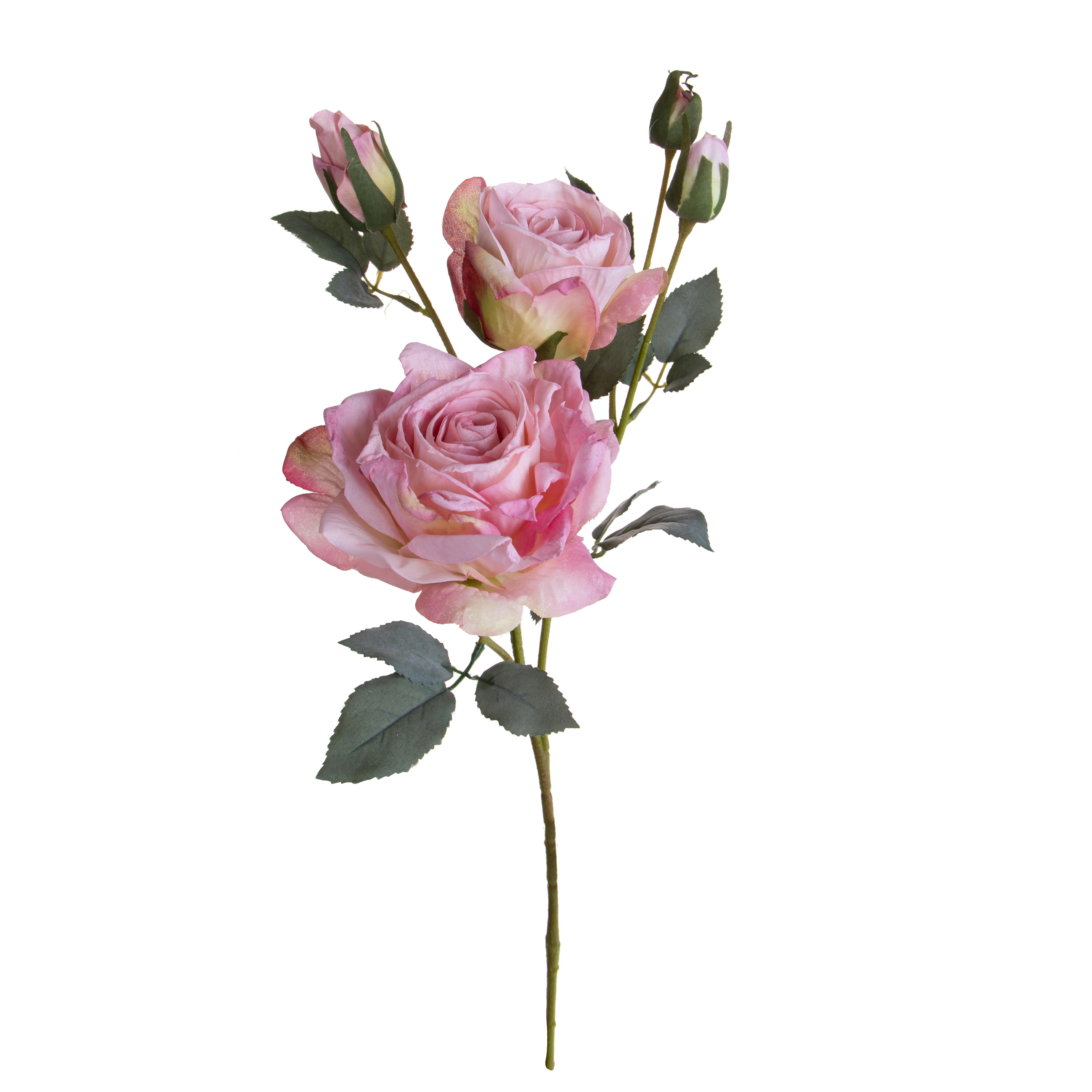 ROSA X 5 65 CM DRY LOOK