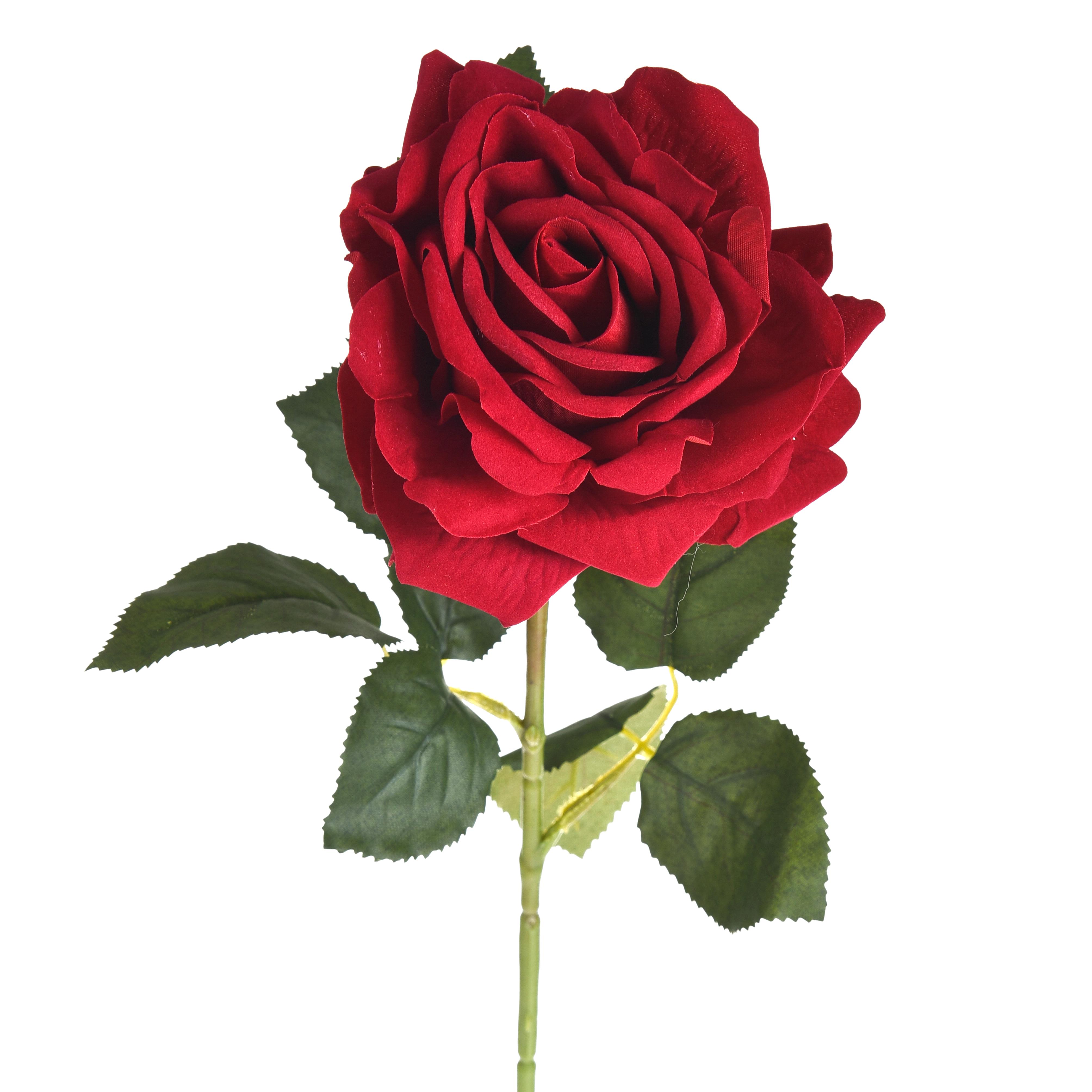 Coeurs, St Valentin, Fête des Mères,Conteneurs en céramique et tapis. divers c/coeur,ROSA VELLUTO 75 CM