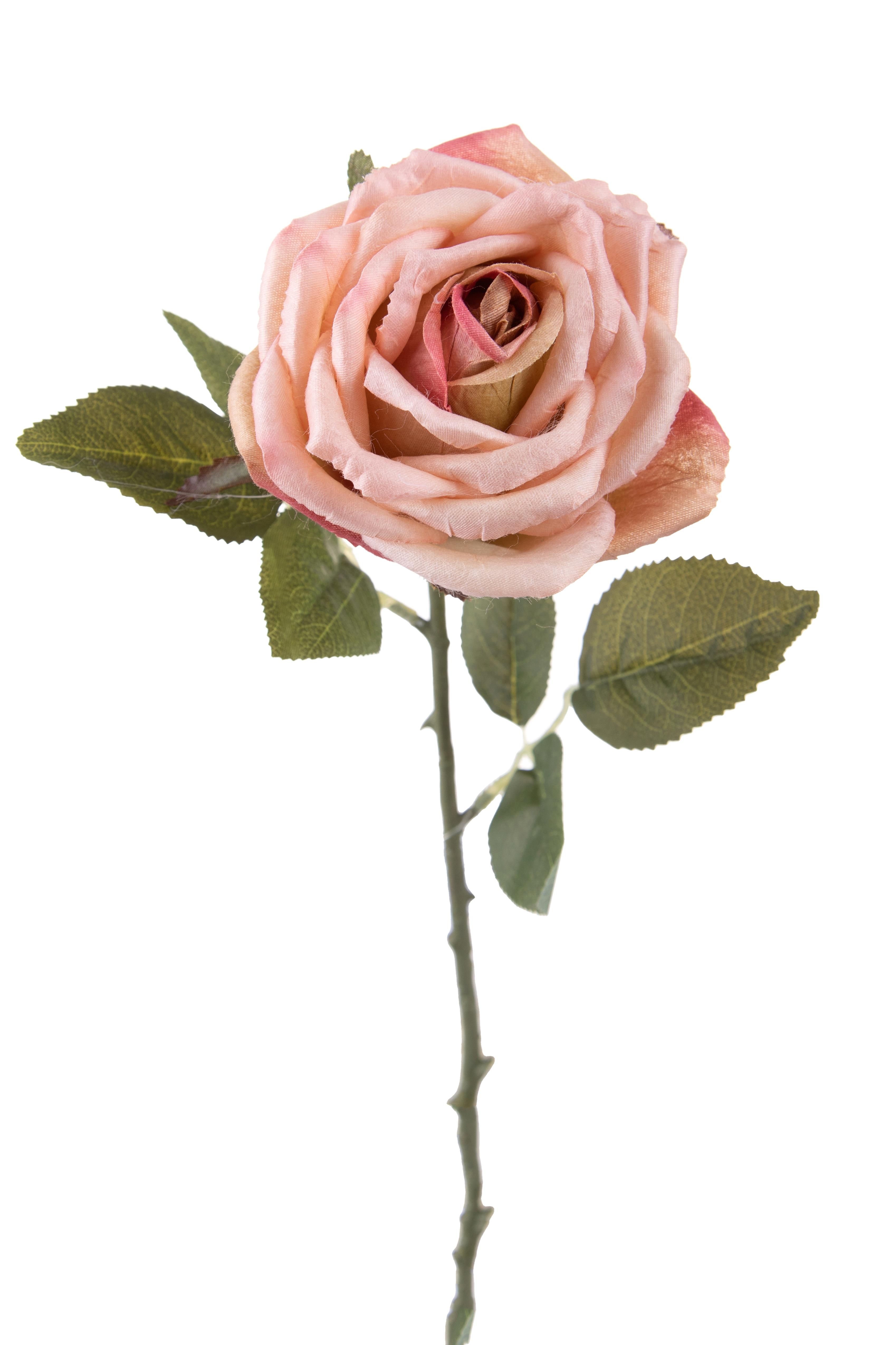 Fleurs artificielles, Rose, ROSA APERTA 51 CM