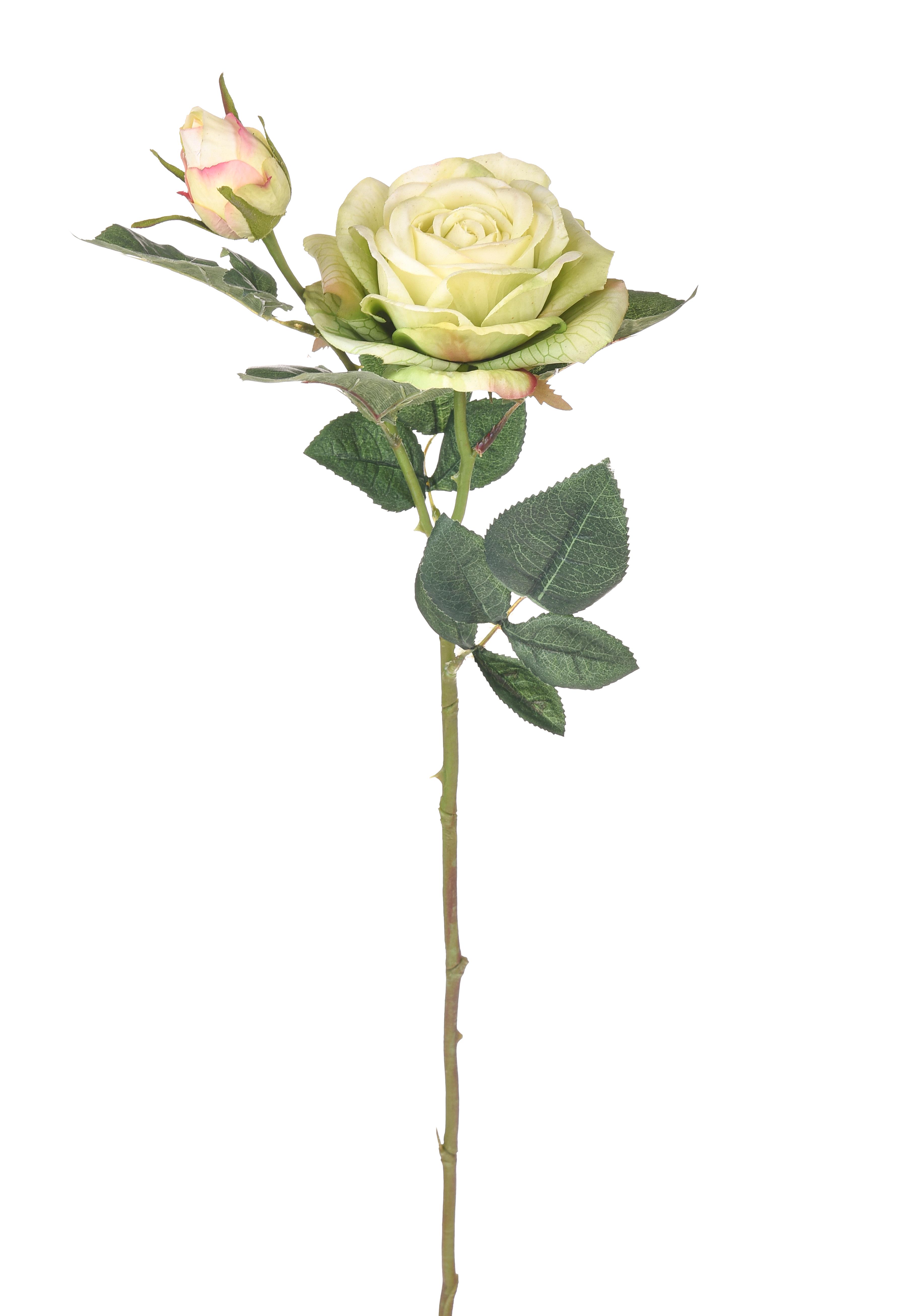 Fleurs artificielles,ROSA REAL TOUCH 65 CM