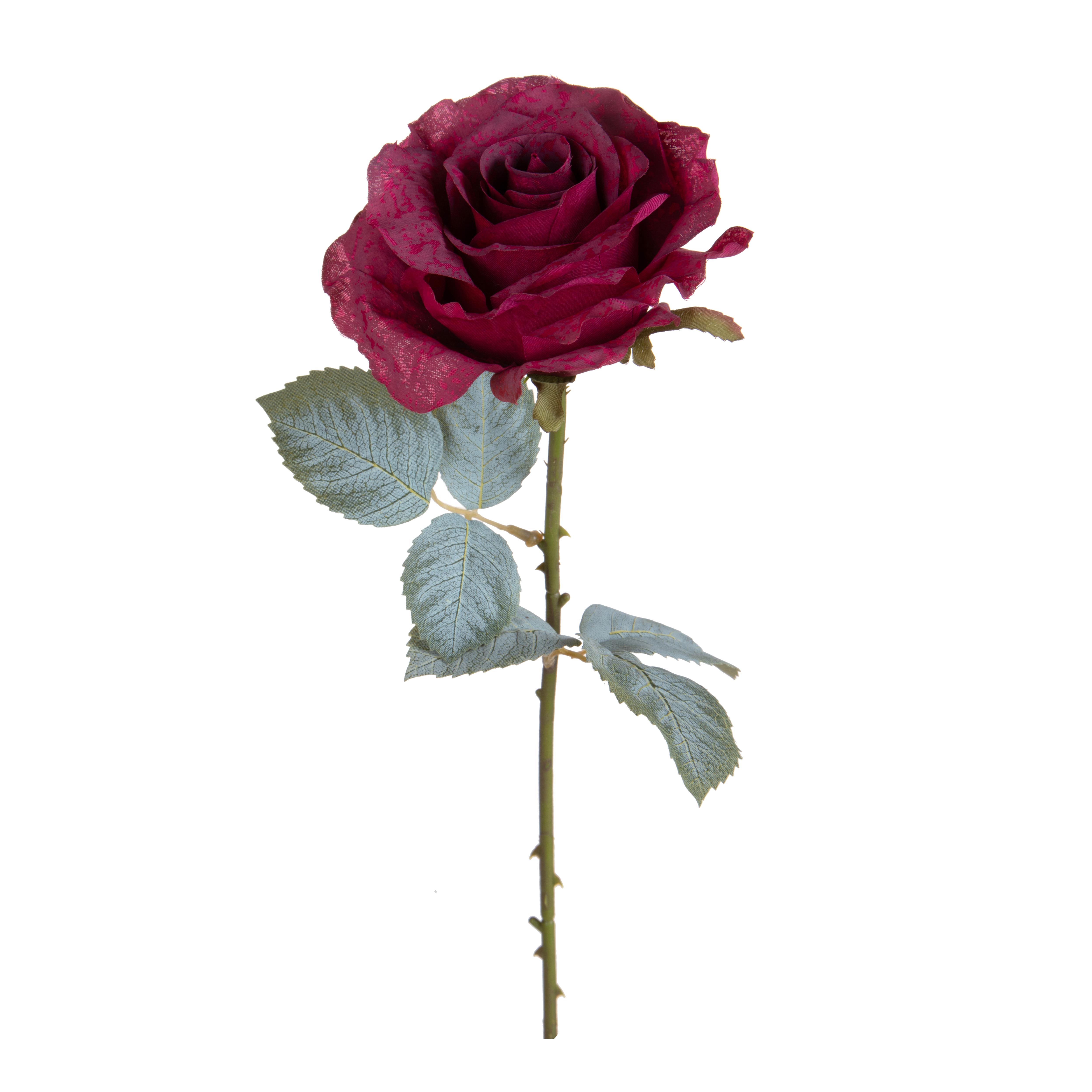 ROSA H.66 CM C/11 FOGLIE APERTA