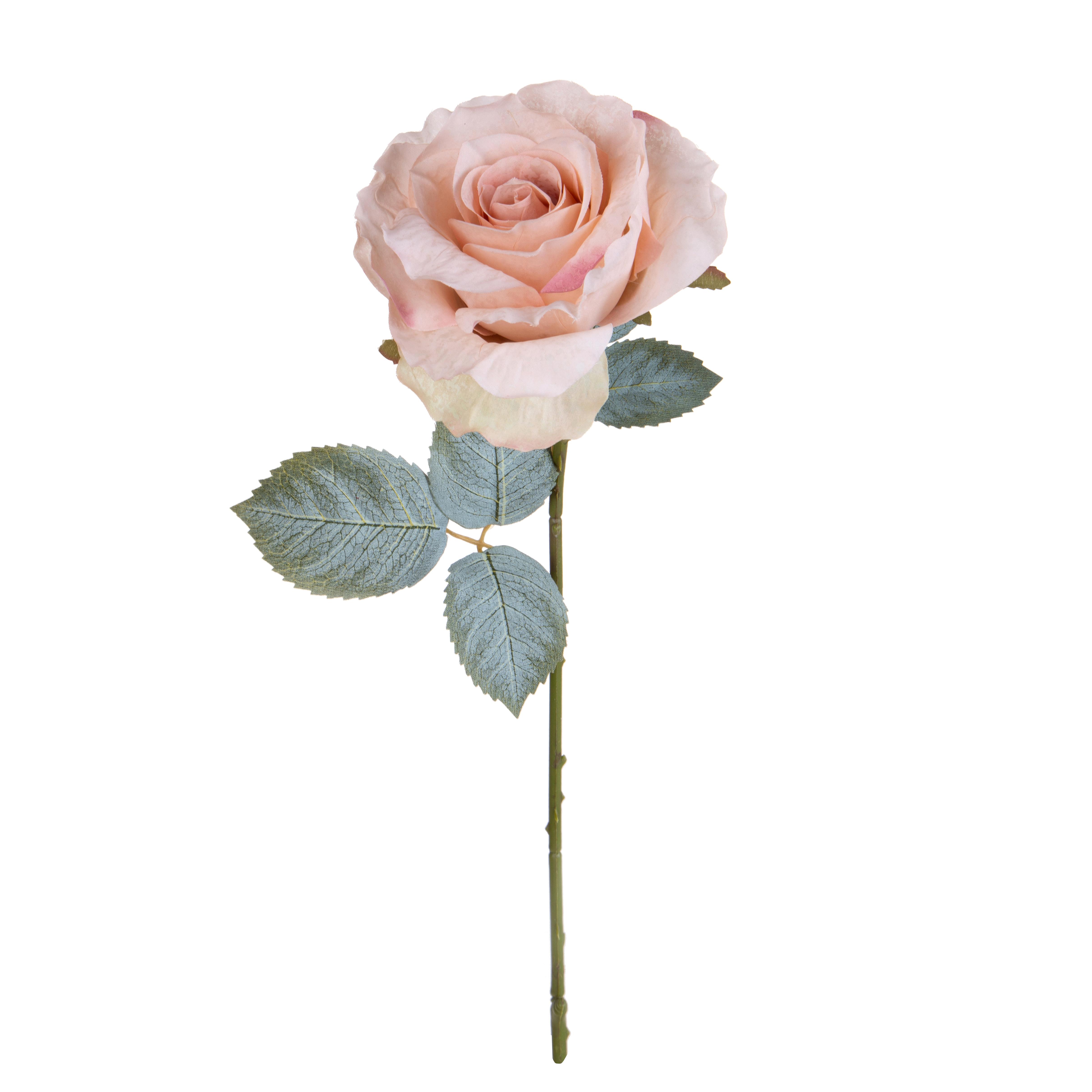 ROSA H.66 CM C/11 FOGLIE APERTA
