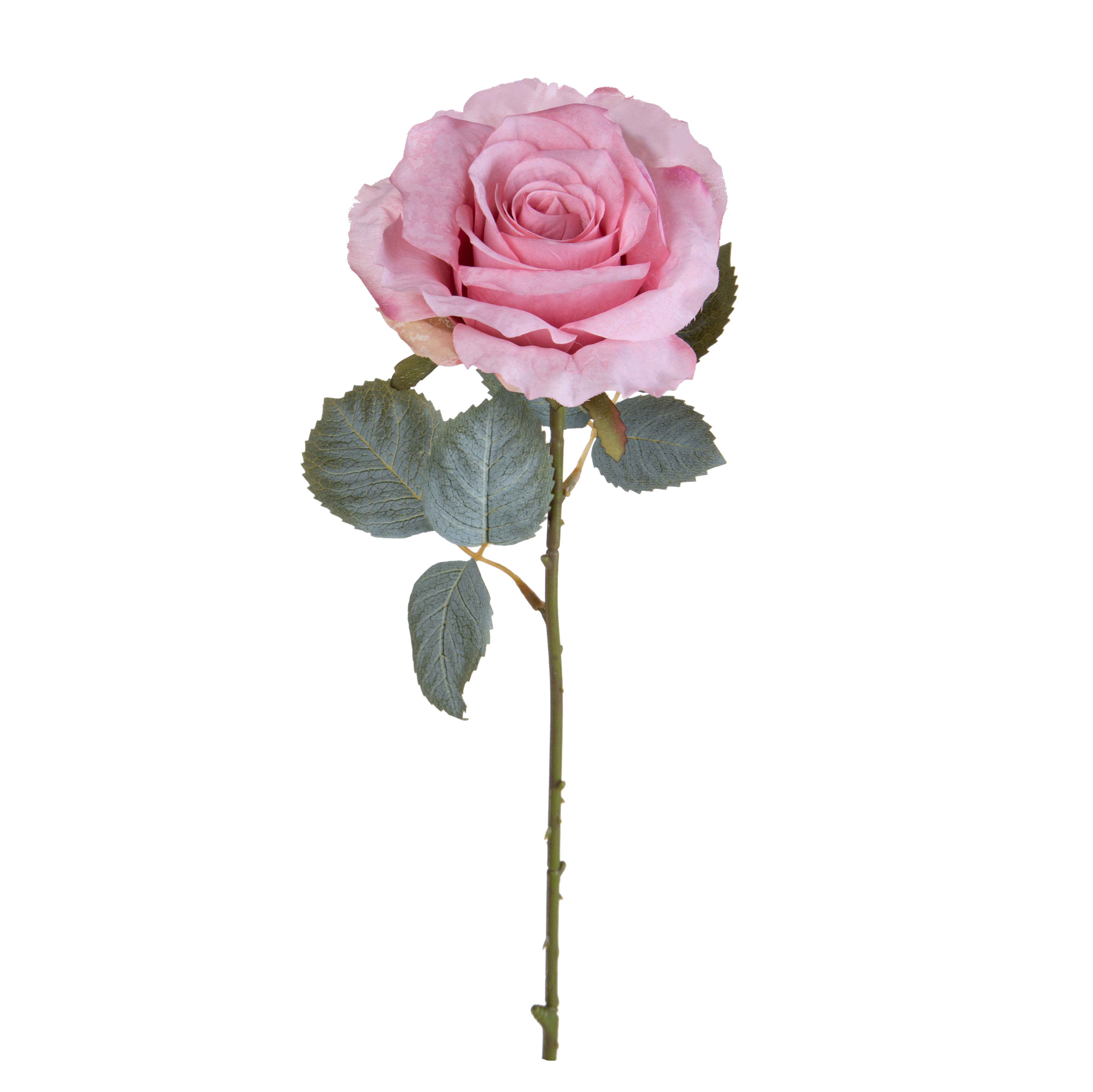 ROSA H.66 CM C/11 FOGLIE APERTA