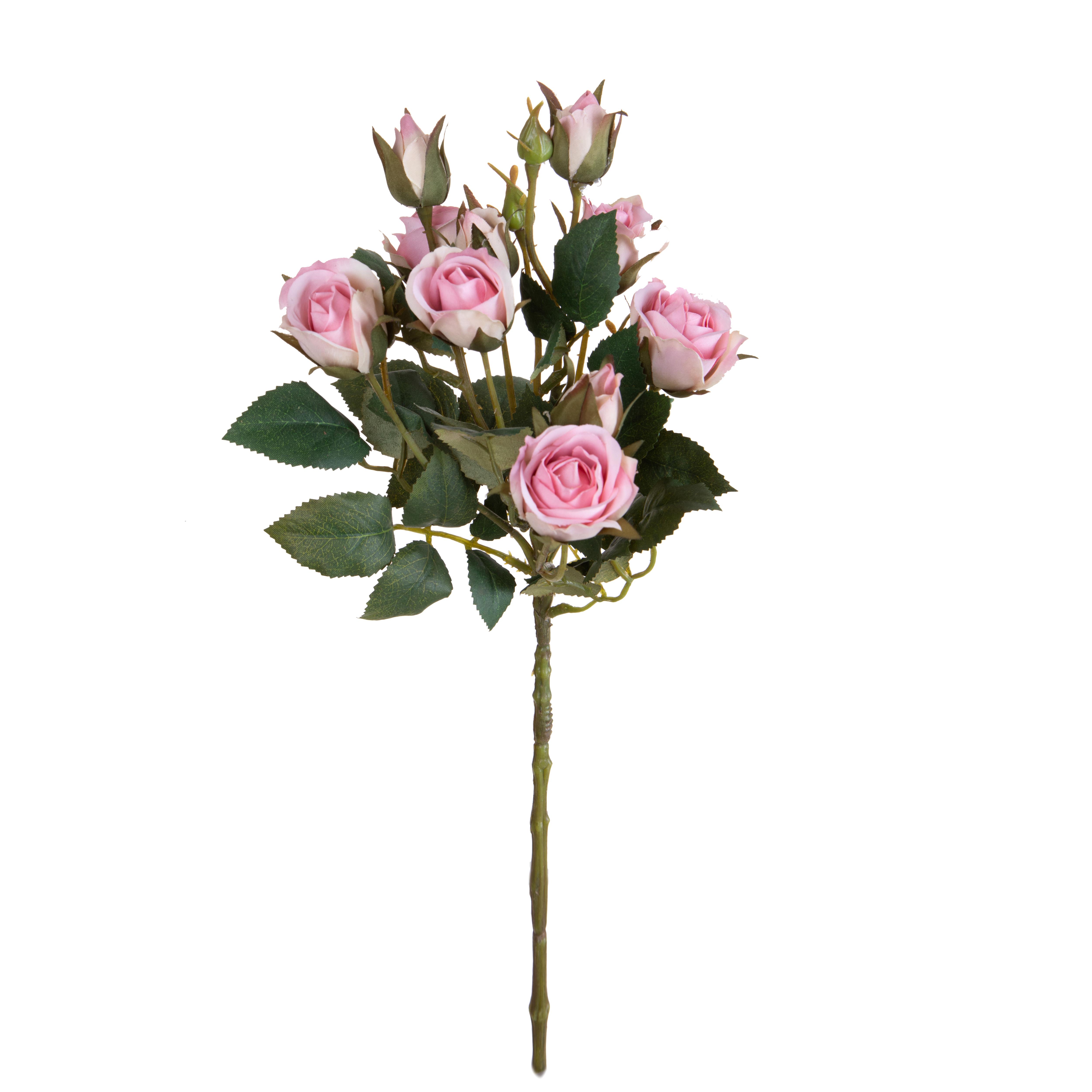 ROSA INGLESE H.55 CM C/6 FIORI E 4 BOCCI