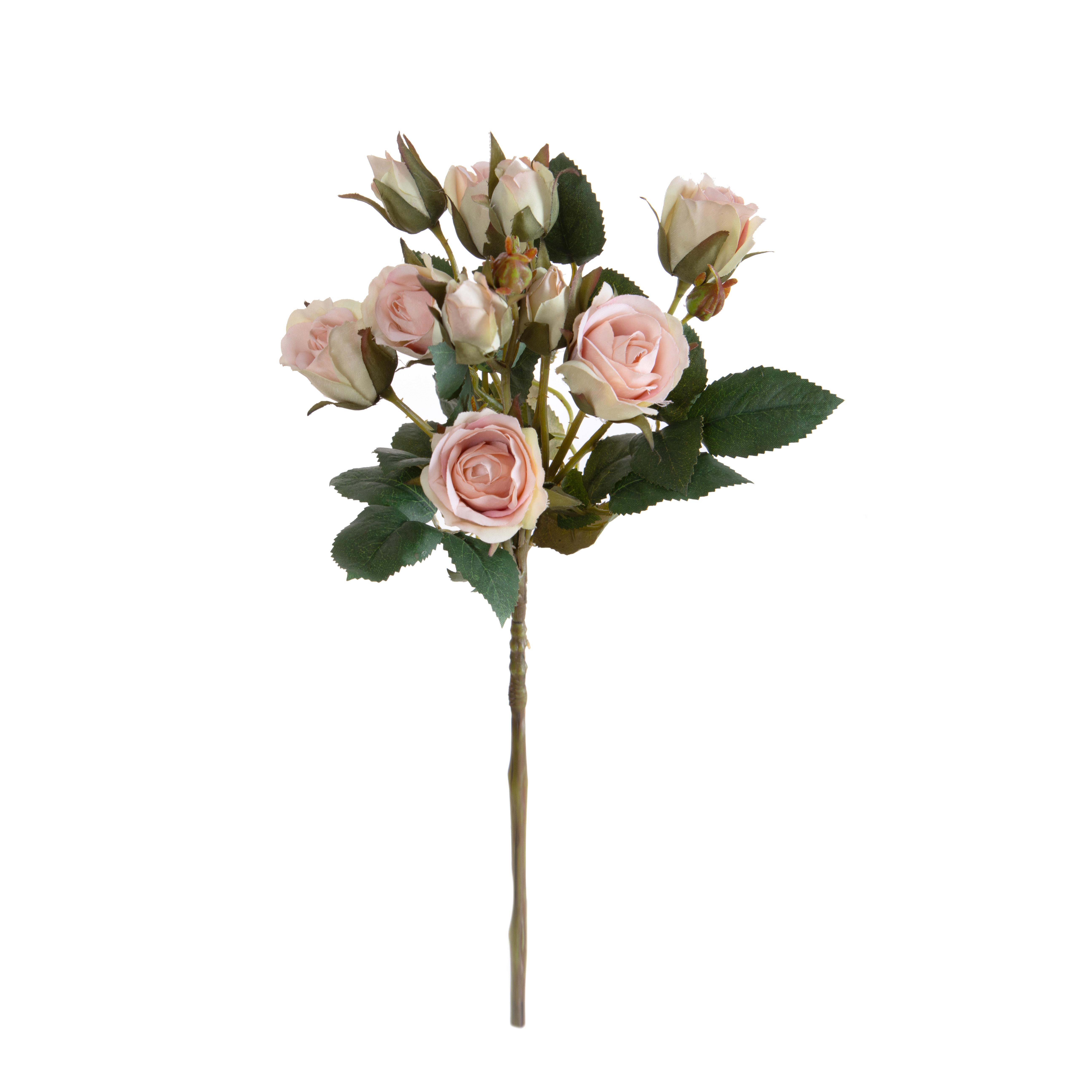 ROSA INGLESE H.55 CM C/6 FIORI E 4 BOCCI