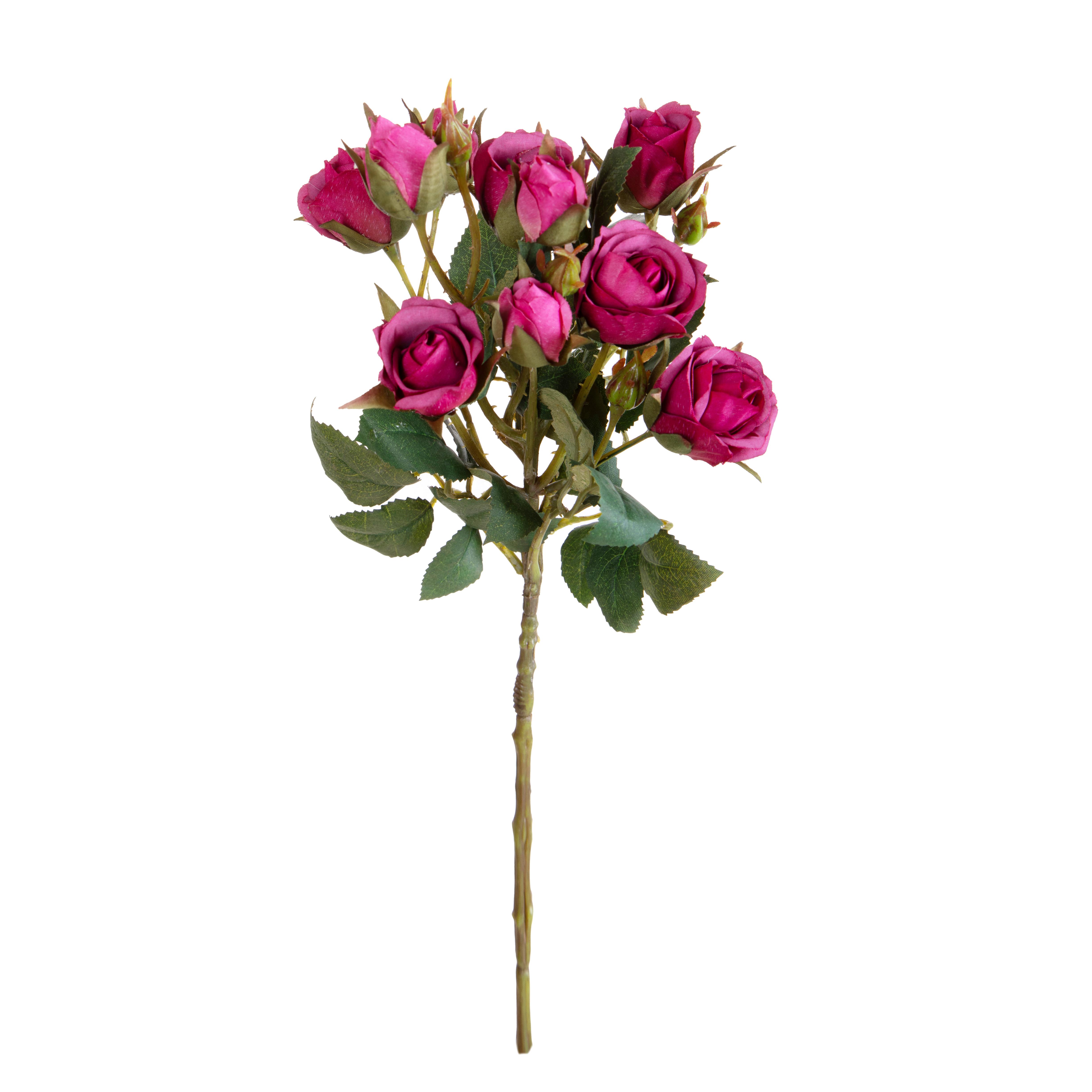 ROSA INGLESE H.55 CM C/6 FIORI E 4 BOCCI