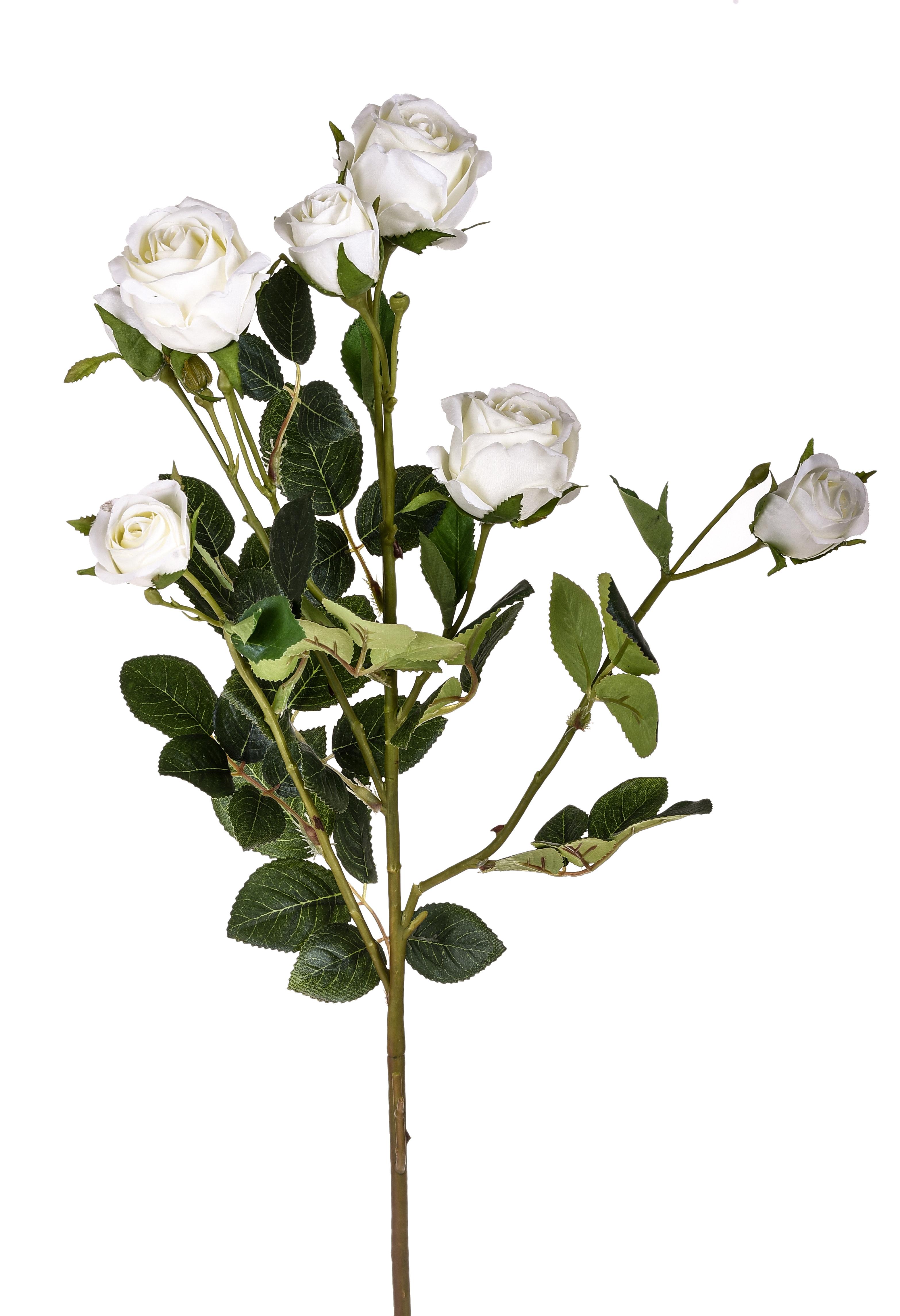 ROSA RAMO 74 CM