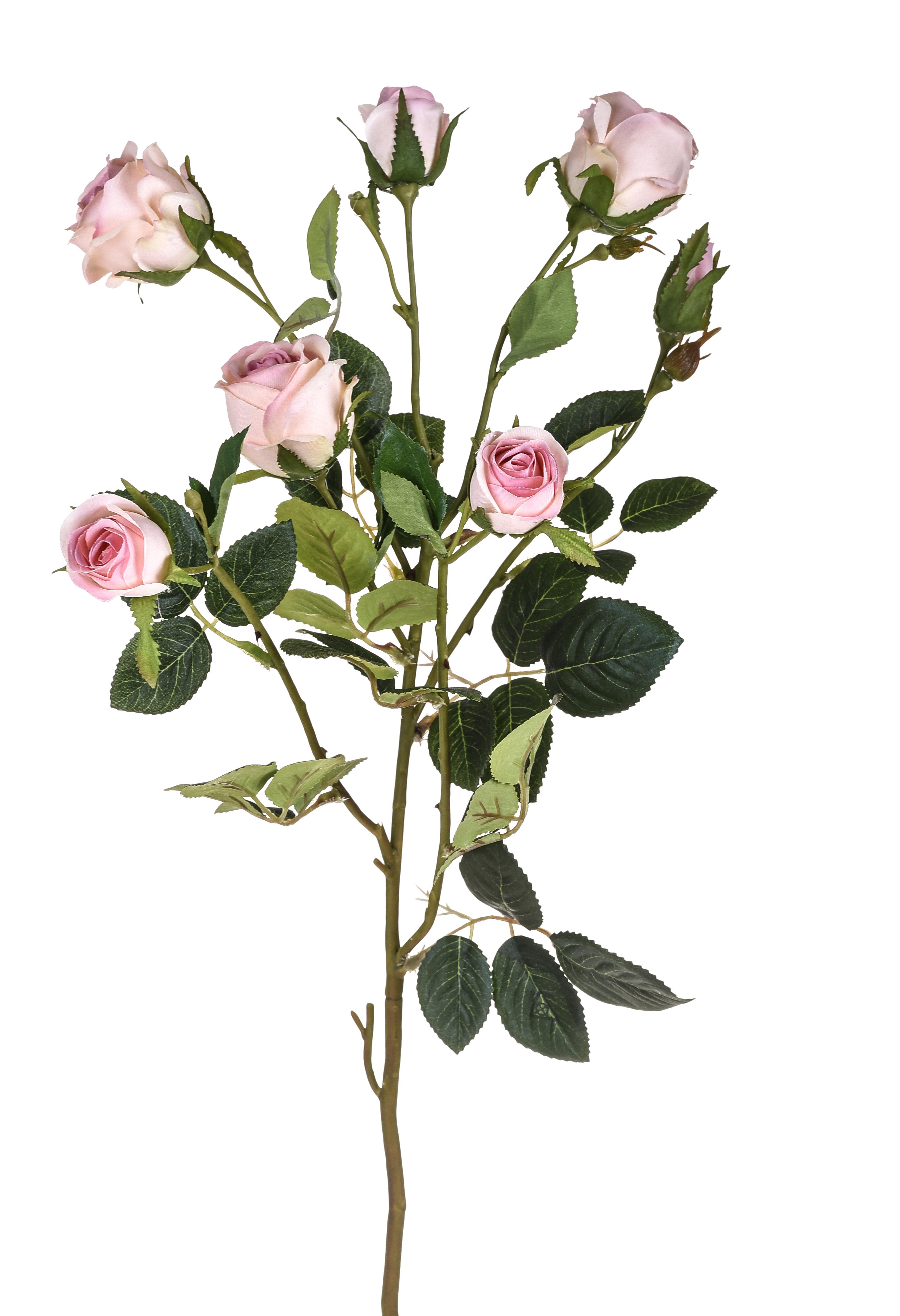 ROSA RAMO 74 CM