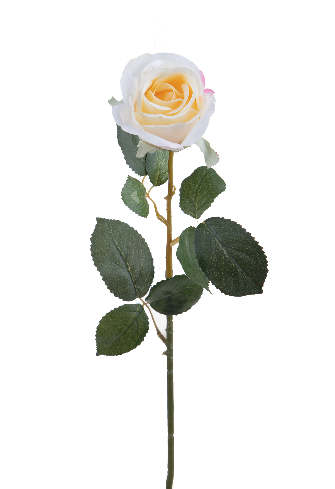 ROSA A BOCCIO 67 CM