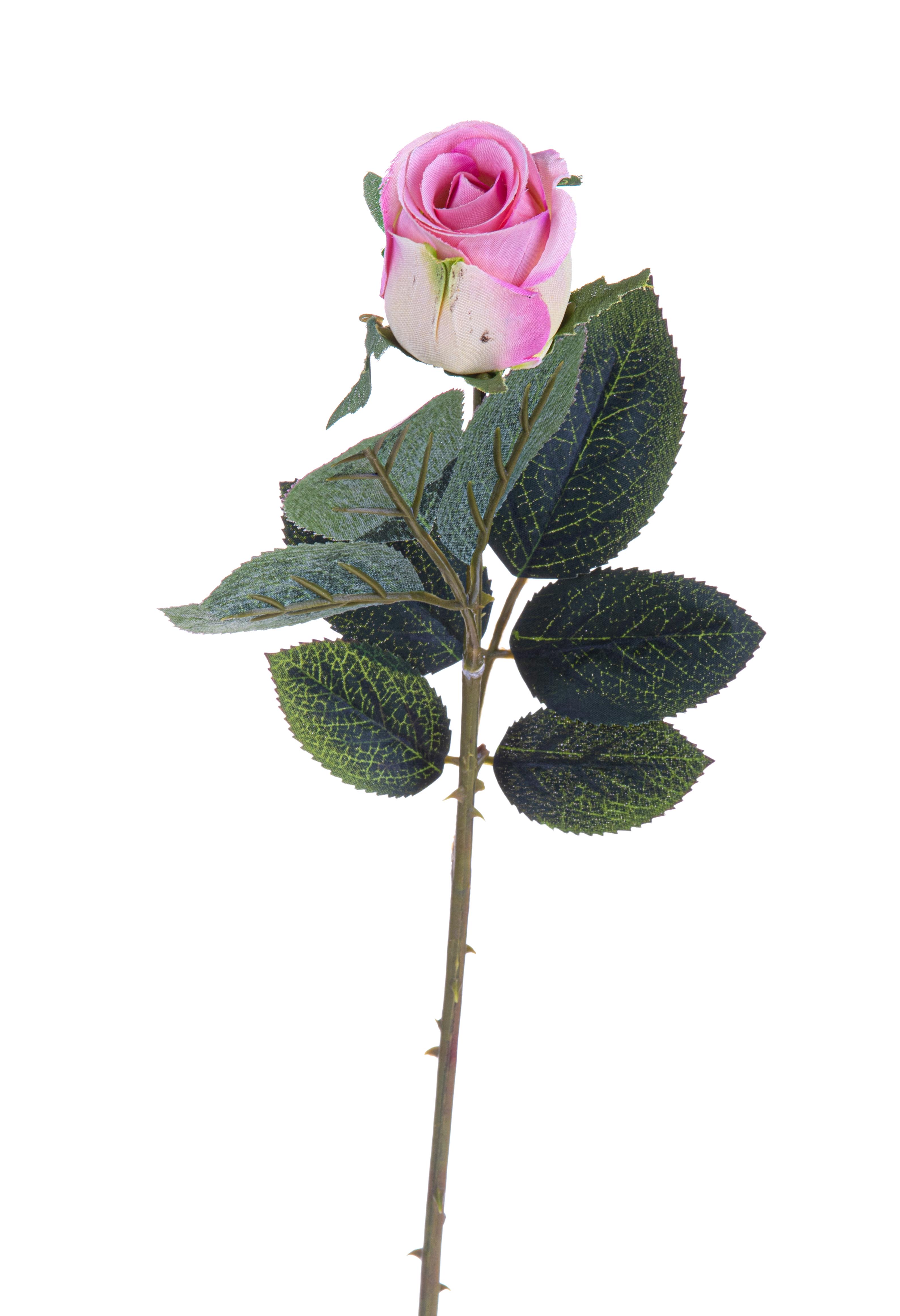 ROSA IN BOCCIO 64 CM