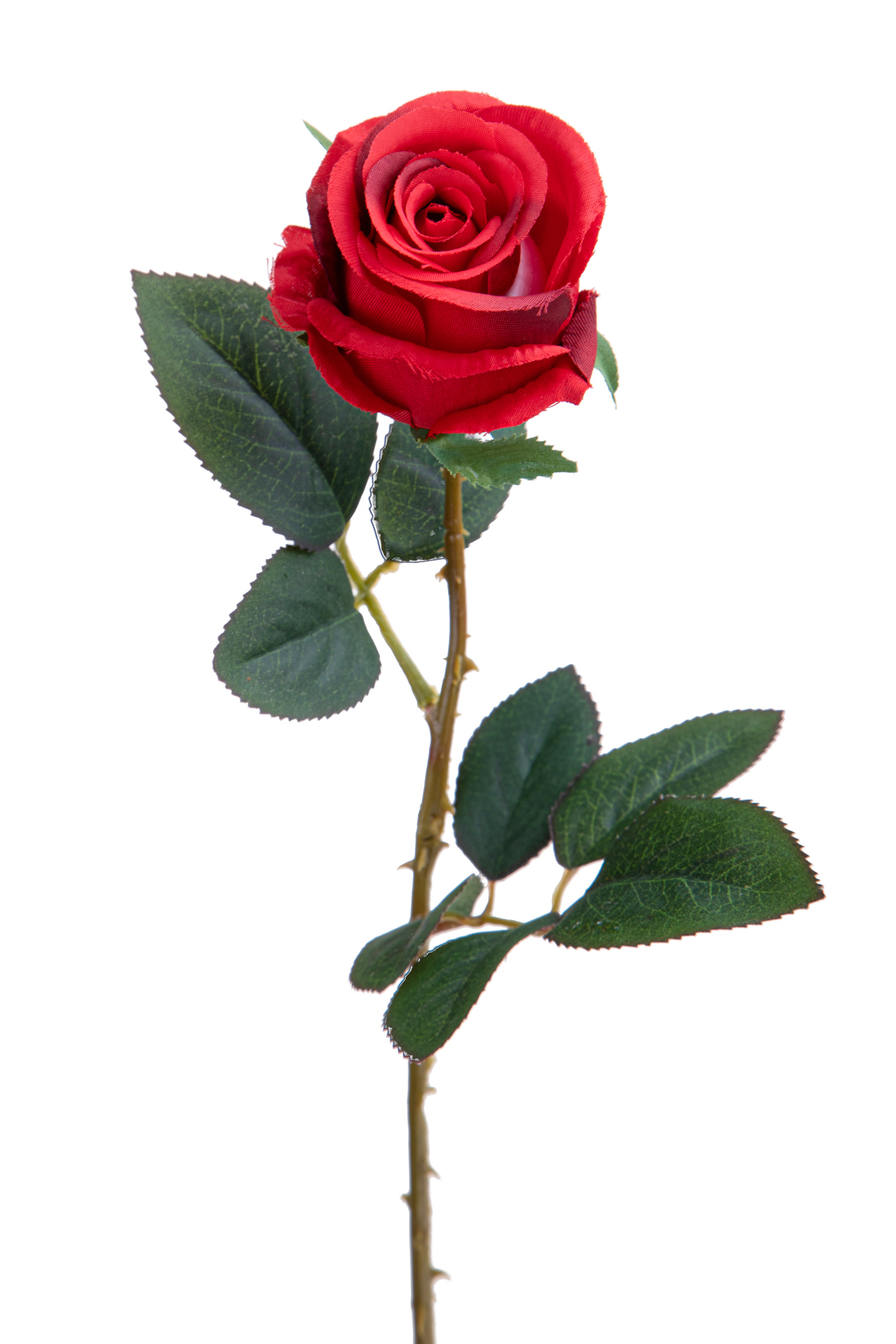 Coeurs, St Valentin, Fête des Mères,ROSA BOCCIO 65 CM
