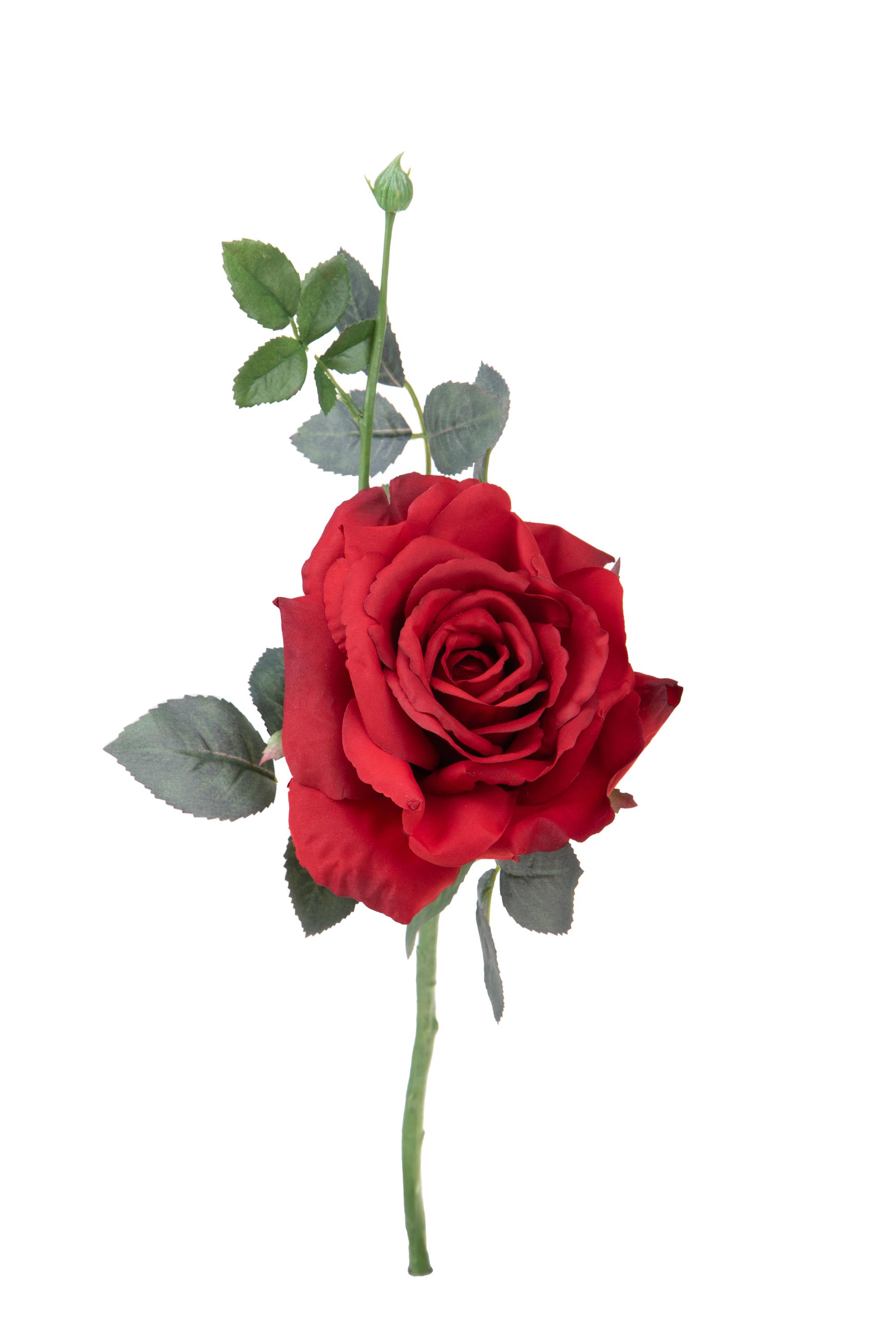 Fleurs artificielles, Rose, ROSA REGINA 42 CM