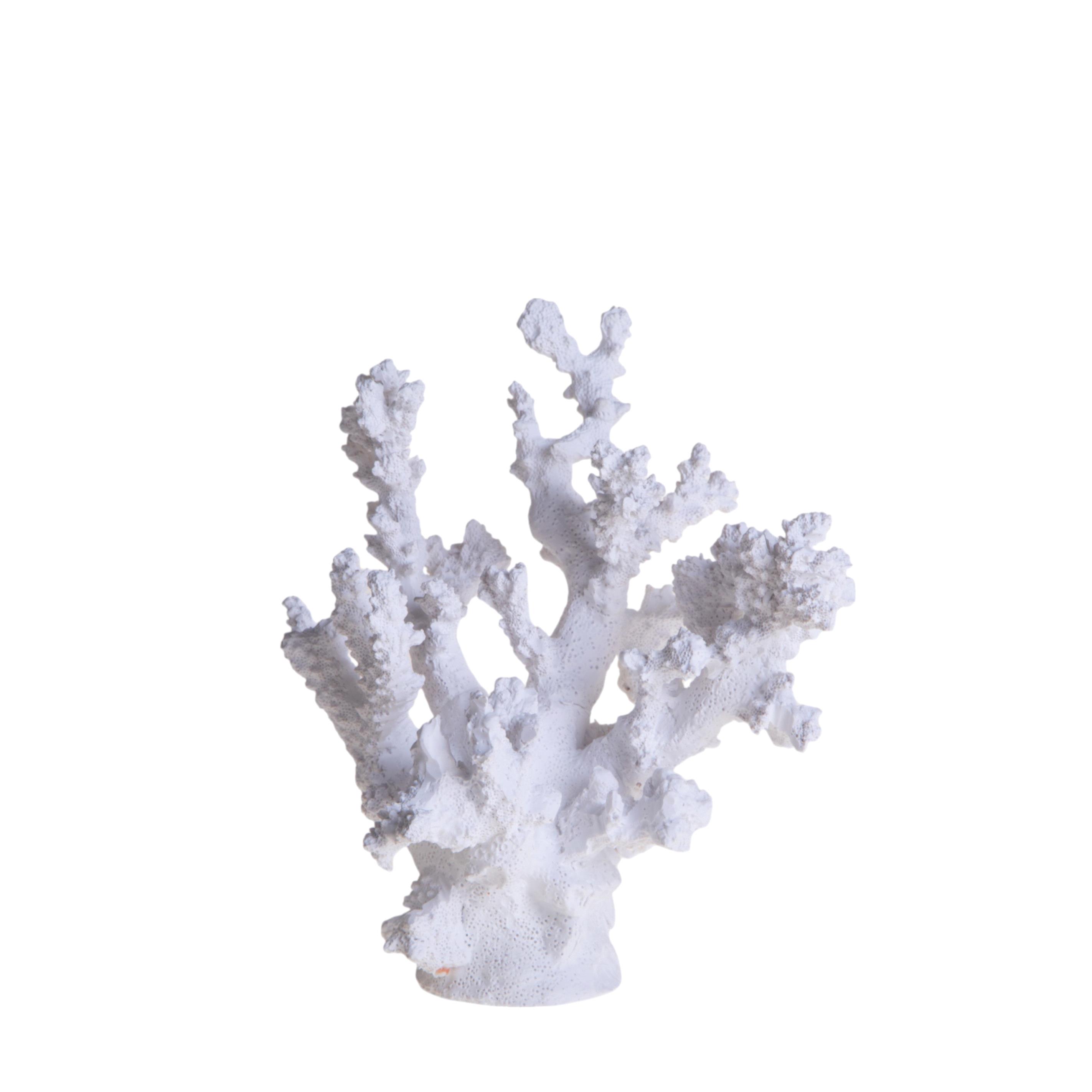 CORALLO 17XH.20 CM