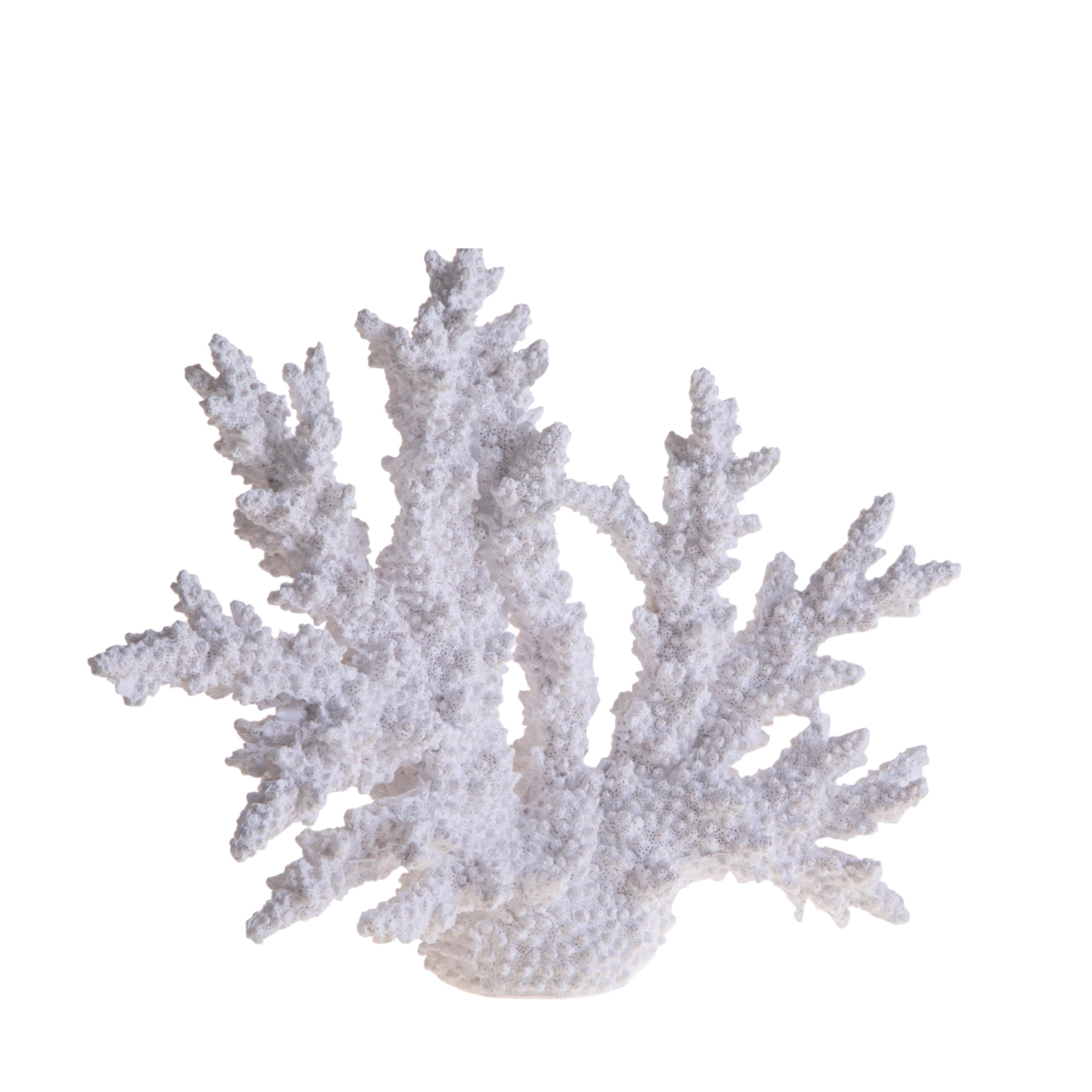 CORALLO 34XH.27 CM