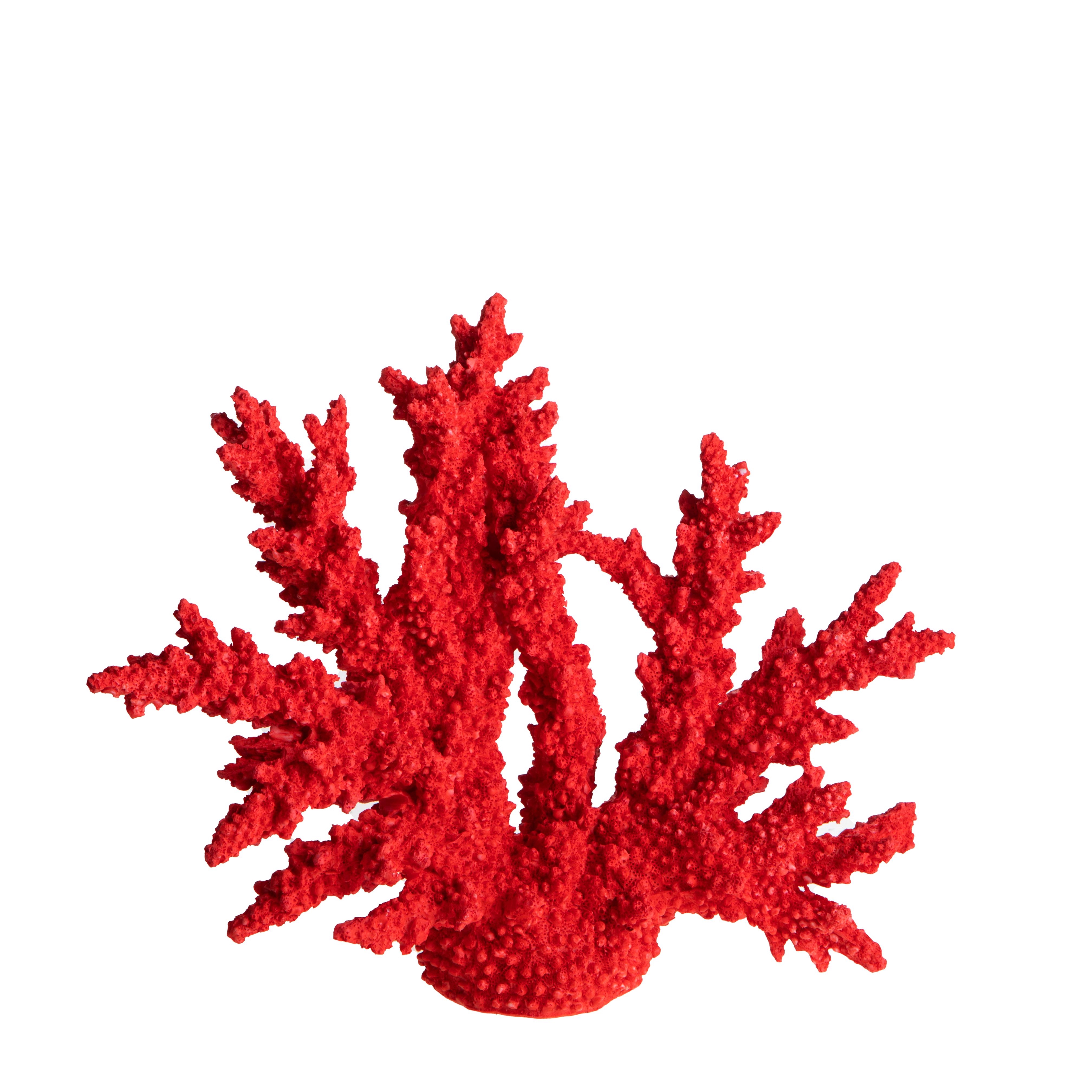 CORALLO 34XH.27 CM