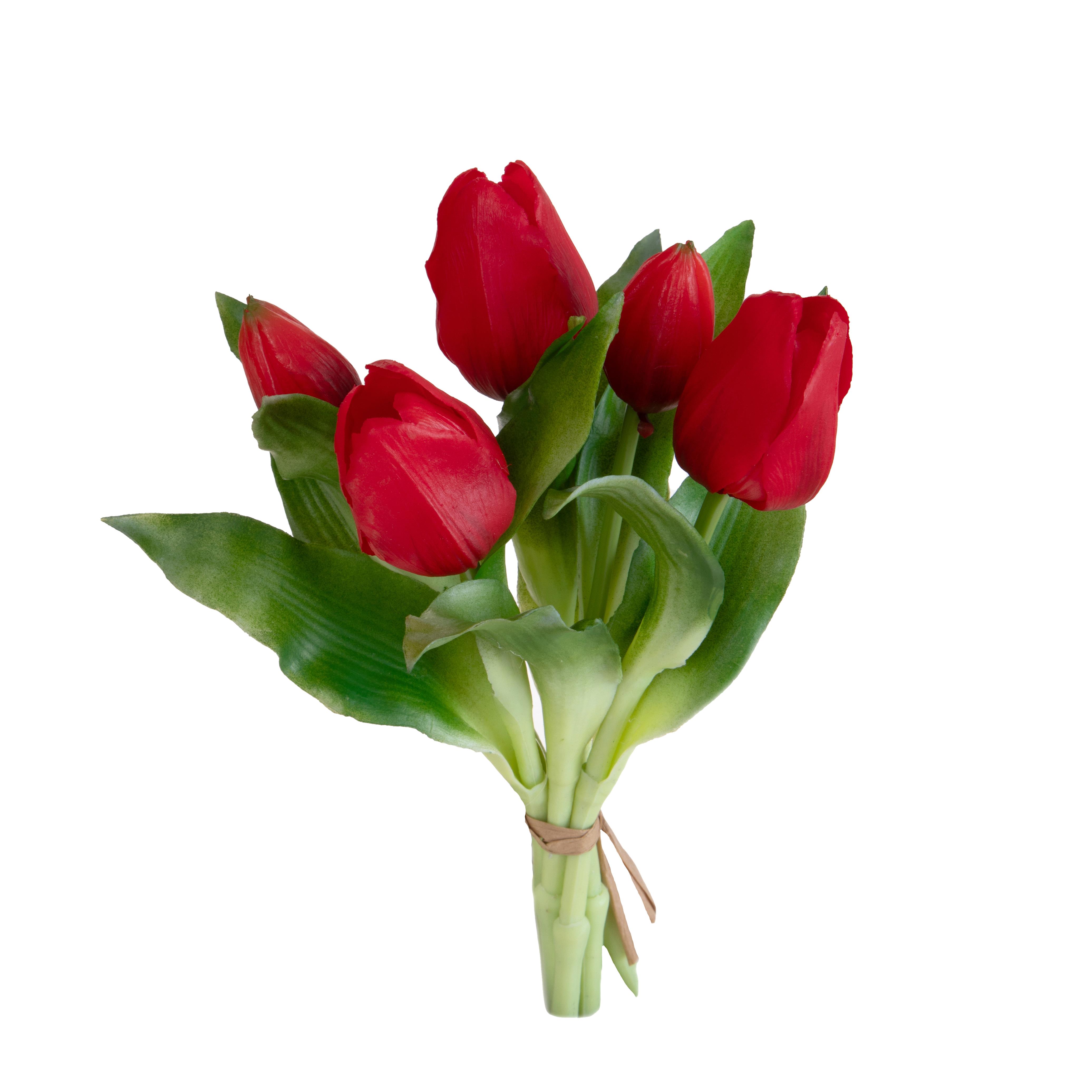 TULIPANO MAZZO 5 PZ 30 CM