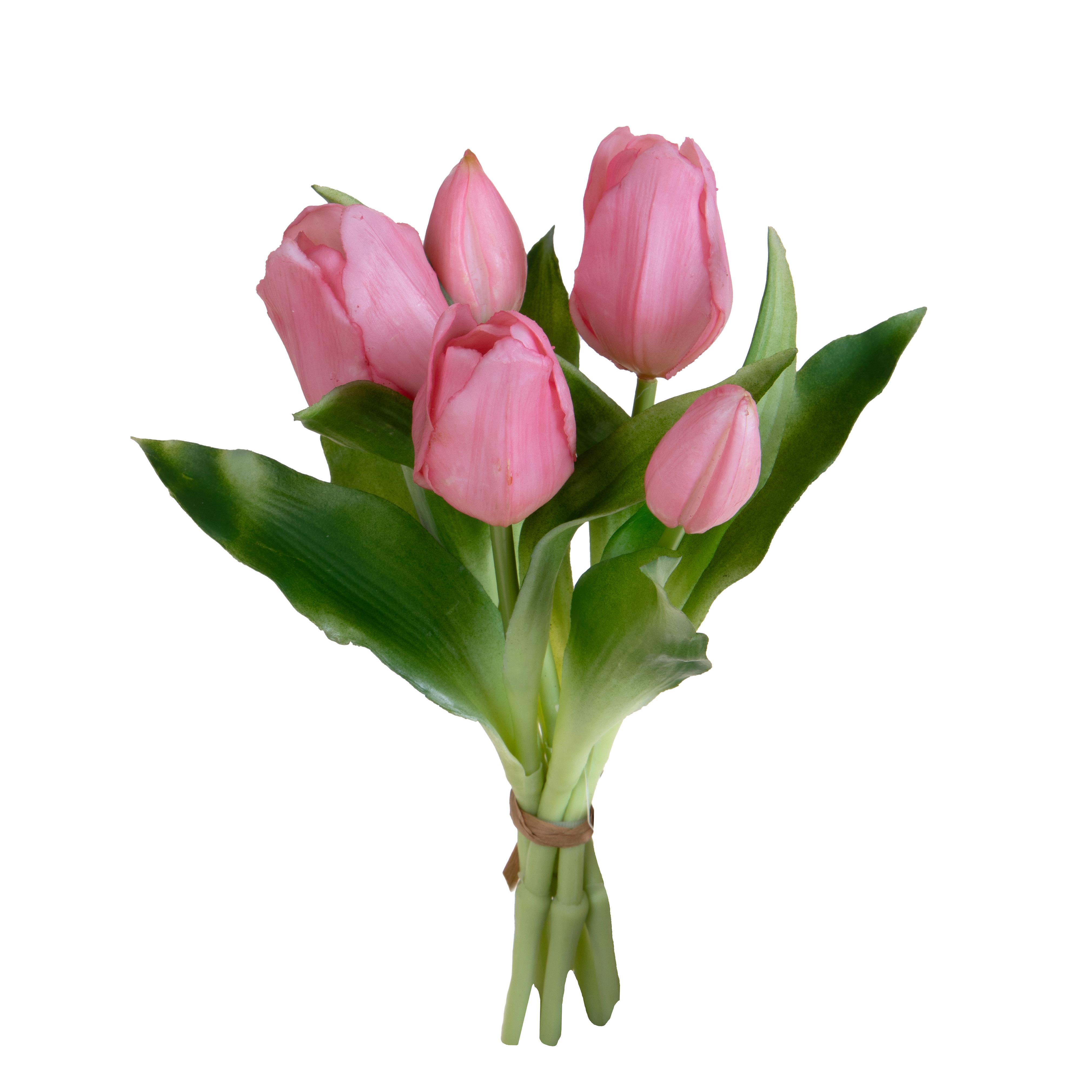 TULIPANO MAZZO 5 PZ 30 CM