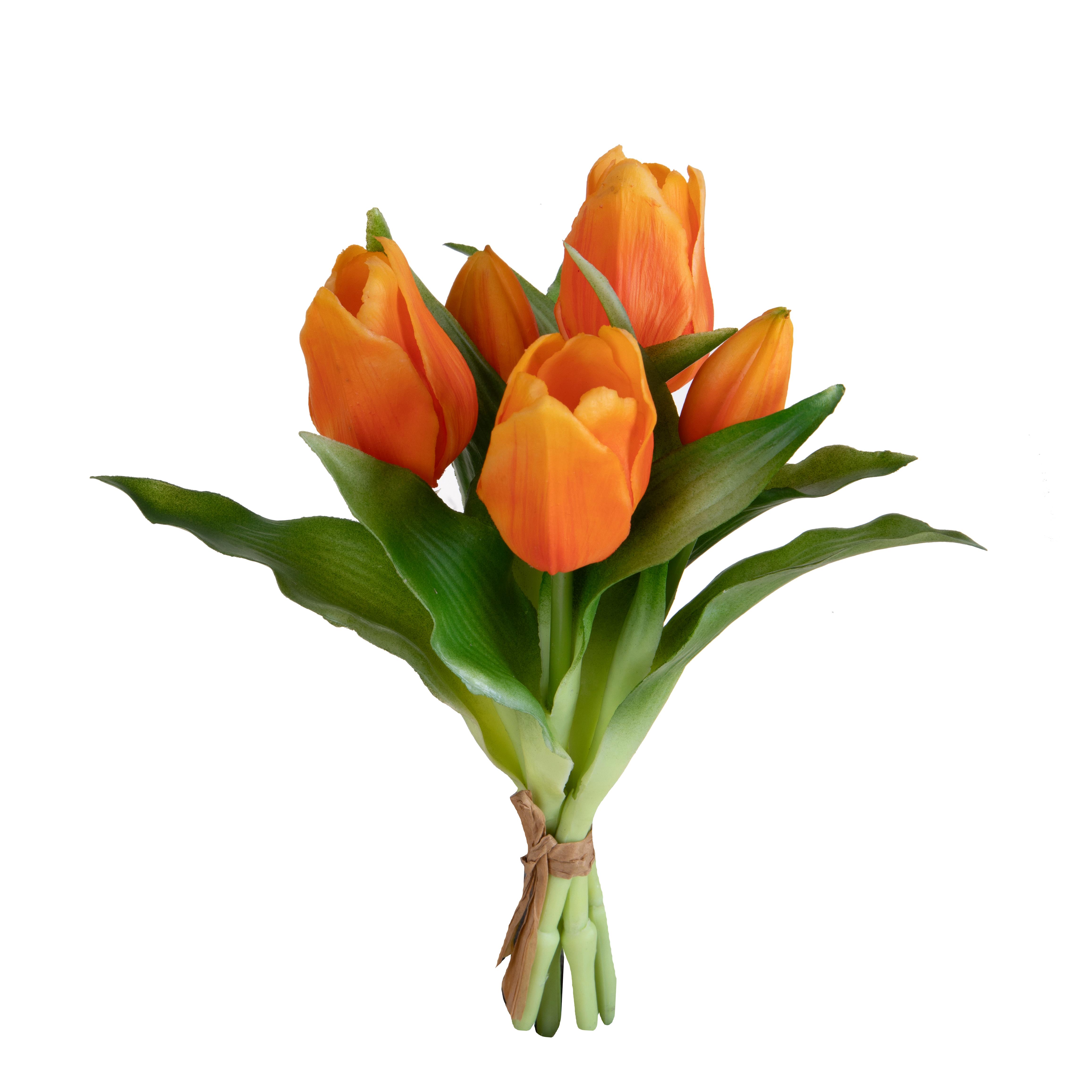 TULIPANO MAZZO 5 PZ 30 CM