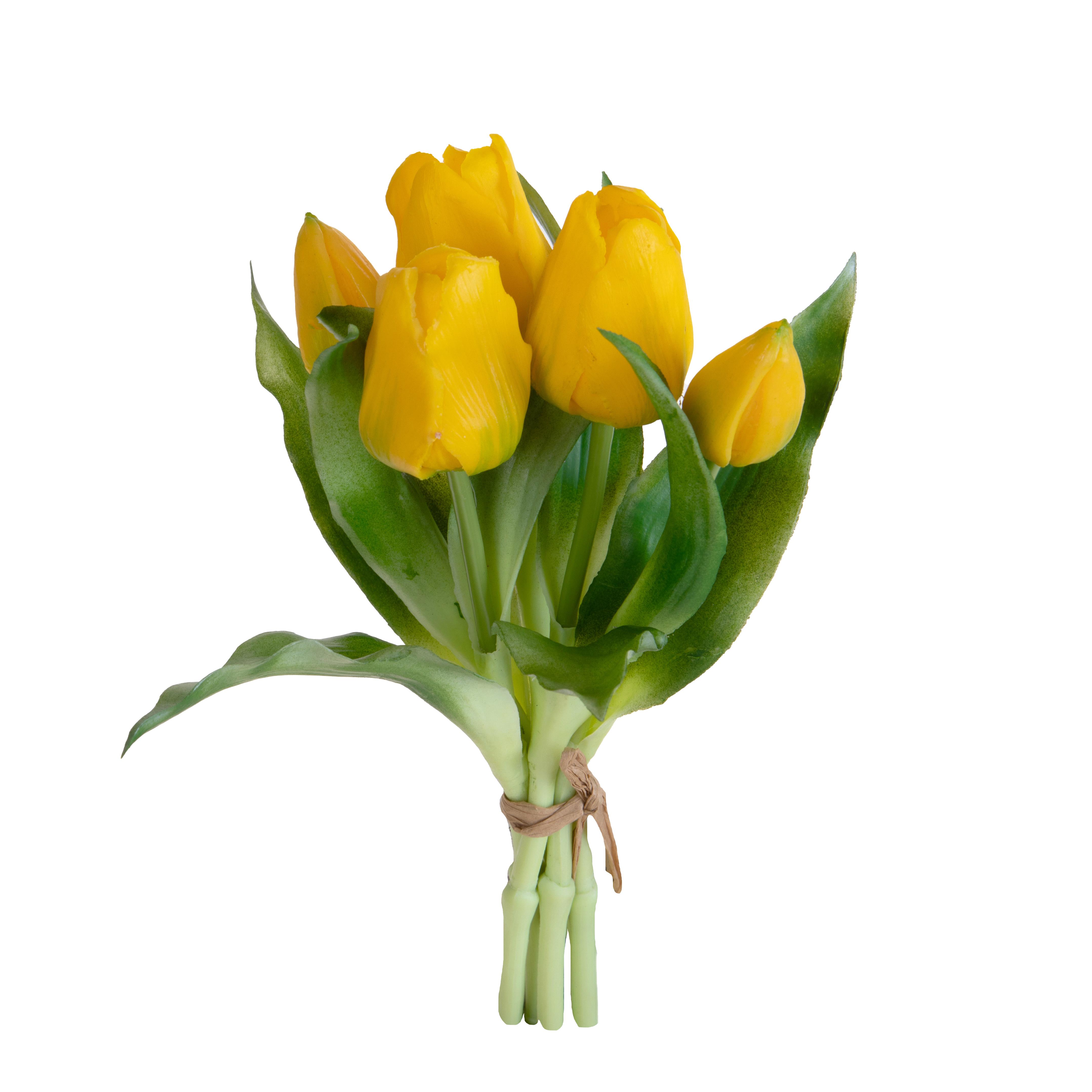 TULIPANO MAZZO 5 PZ 30 CM
