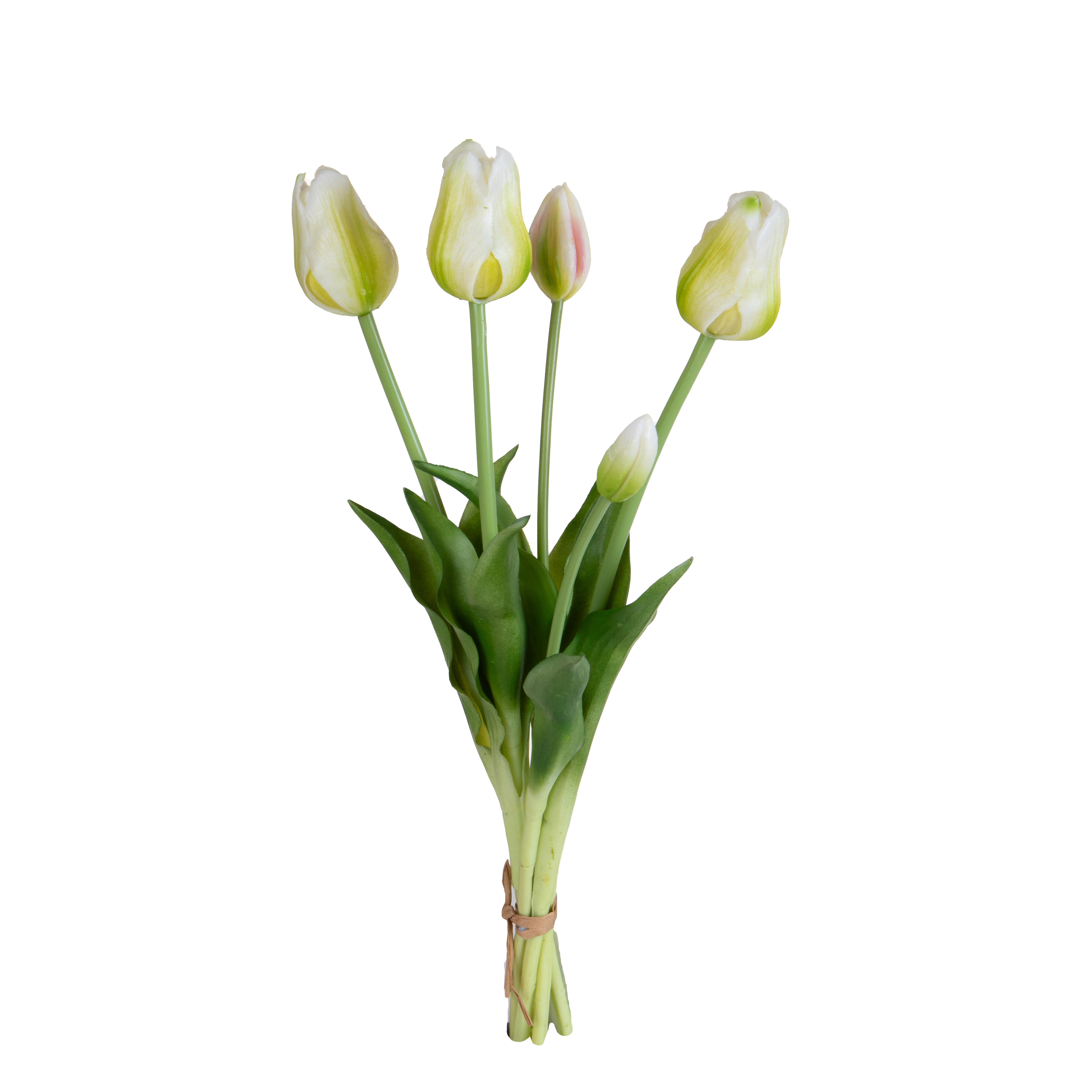 TULIPANO MAZZO 5 PZ 48 CM
