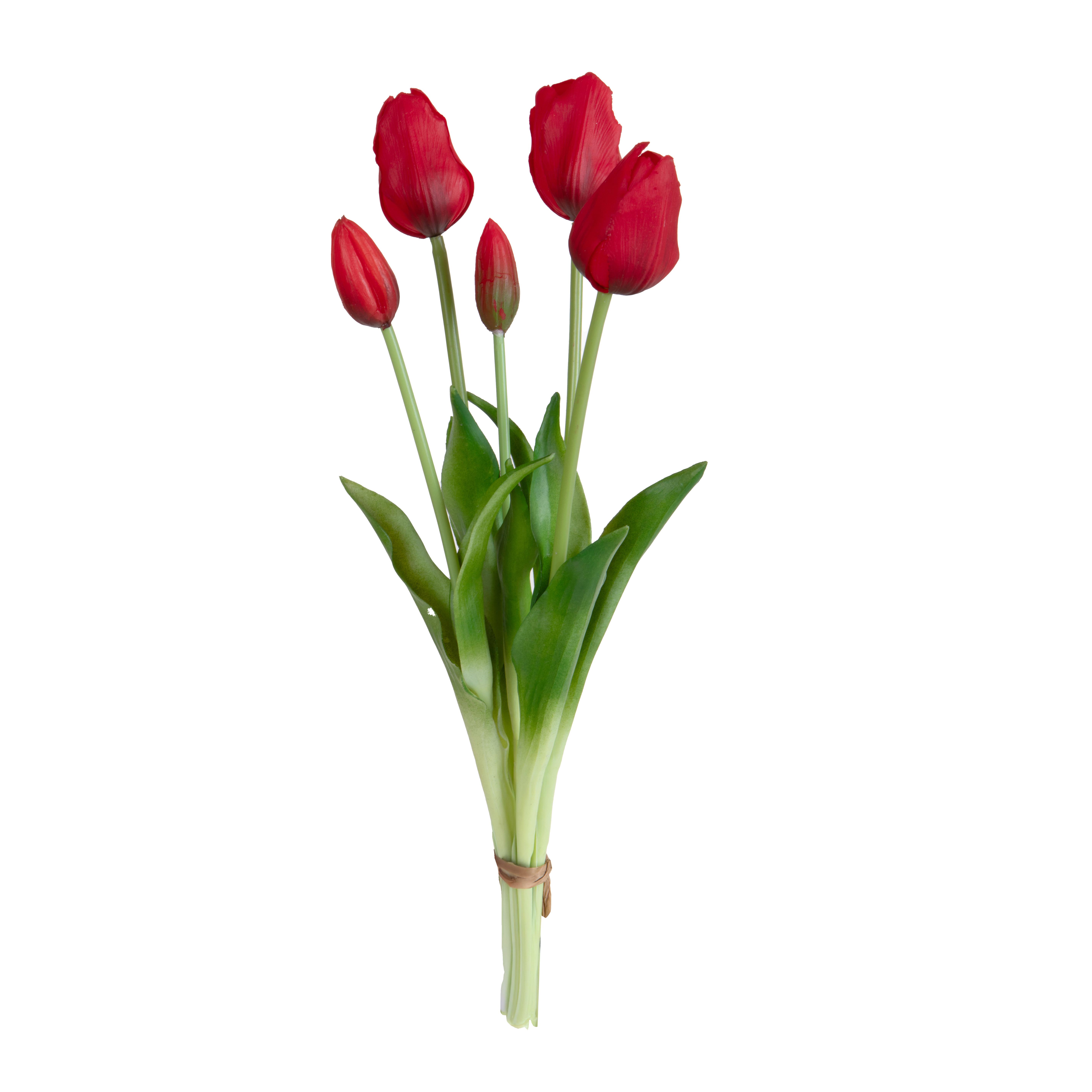 TULIPANO MAZZO 5 PZ 48 CM