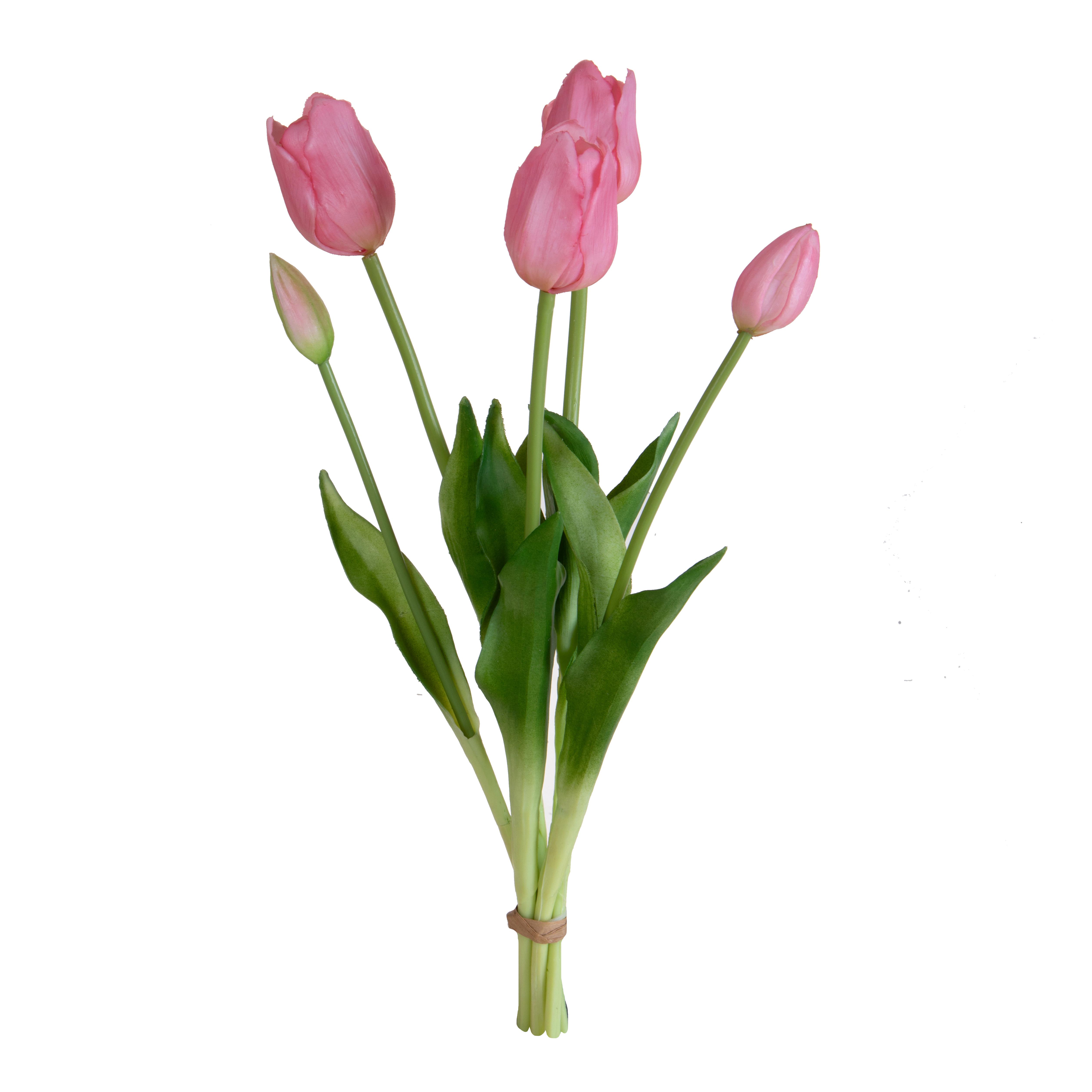 TULIPANO MAZZO 5 PZ 48 CM