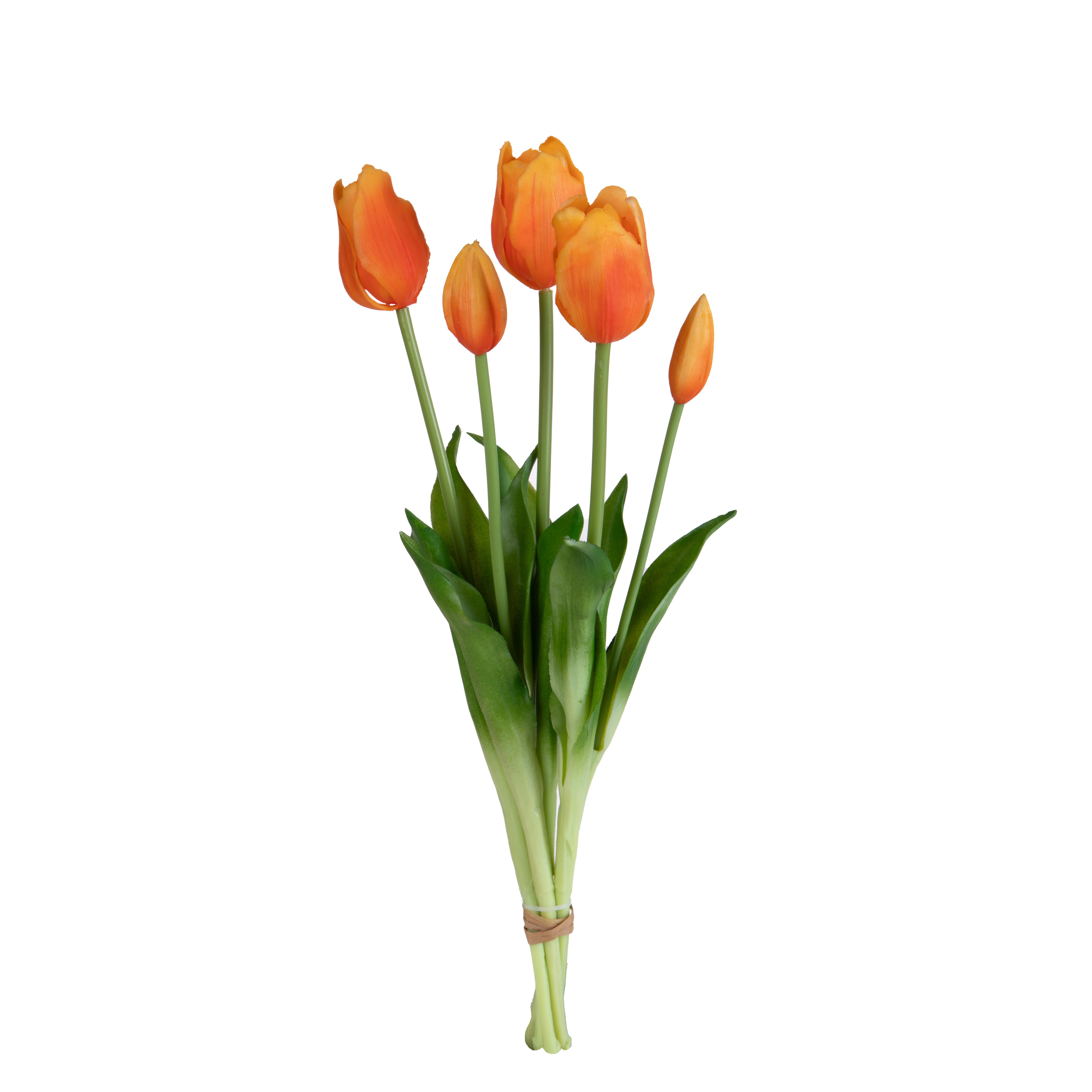 TULIPANO MAZZO 5 PZ 48 CM