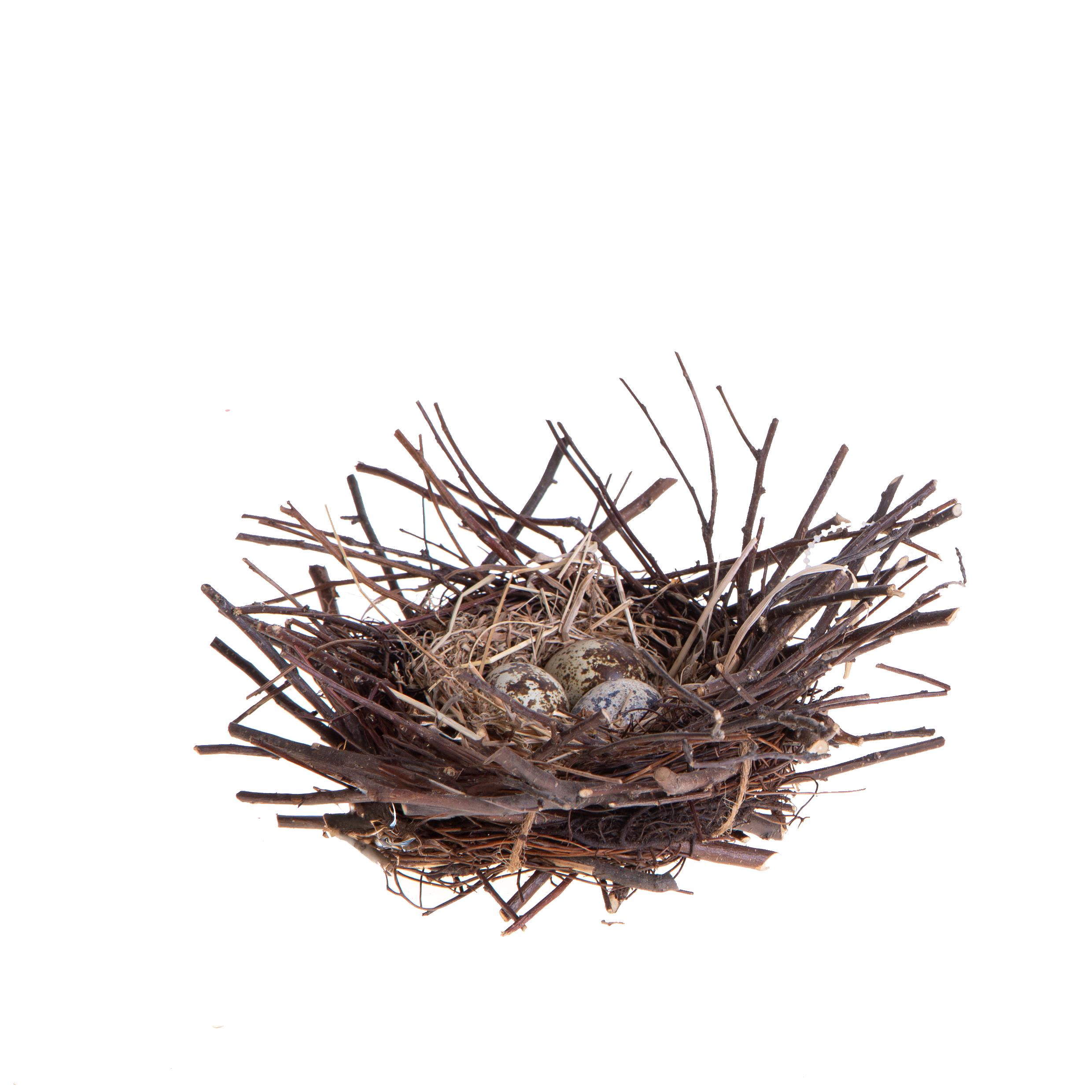 NIDO C/3 UOVA 20X4 CM STECCHI