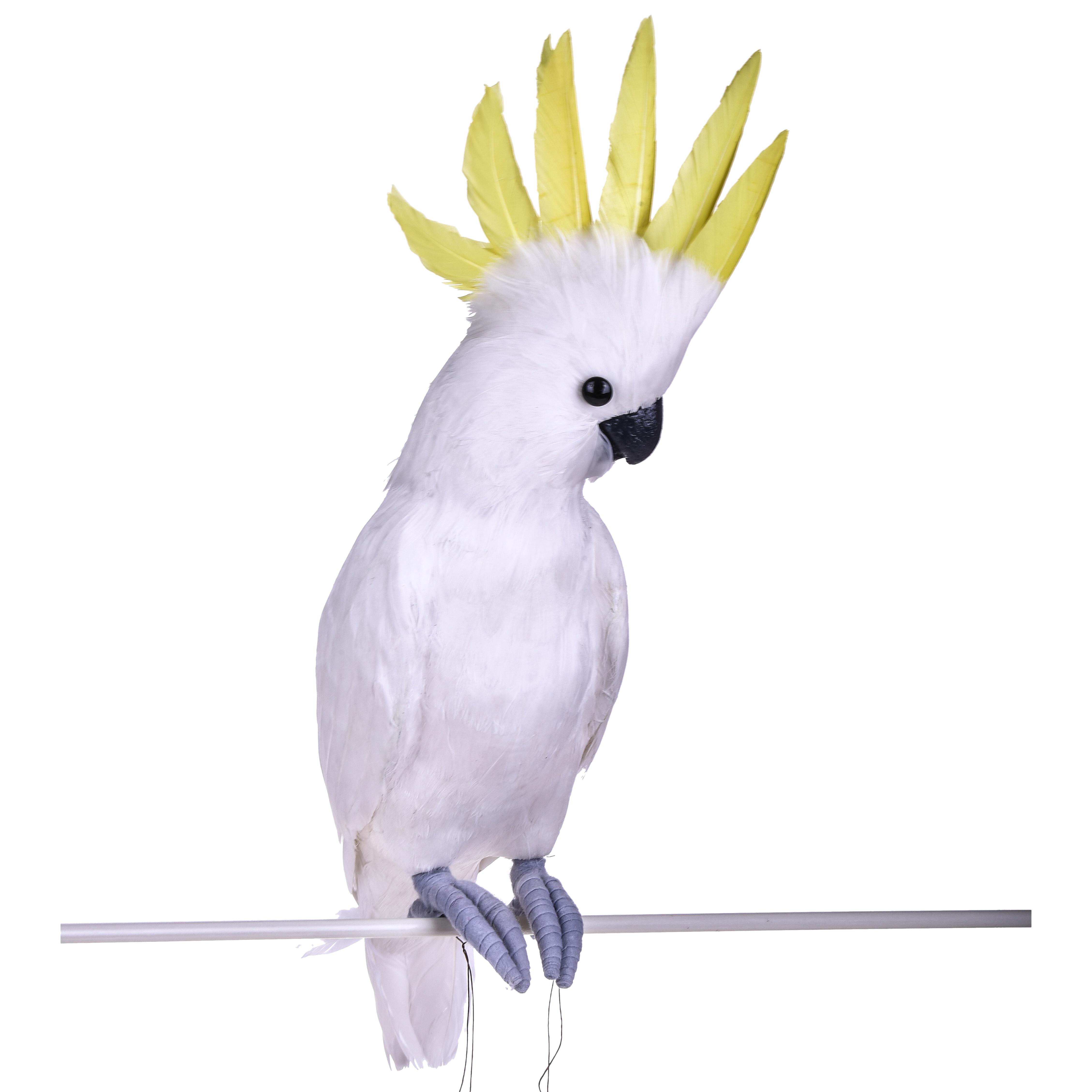 SPRING AND EASTER DECORATIONS, BIRDS,BUTTERFLIES, BIRDS, PAPPAGALLO CACATUA 54 CM