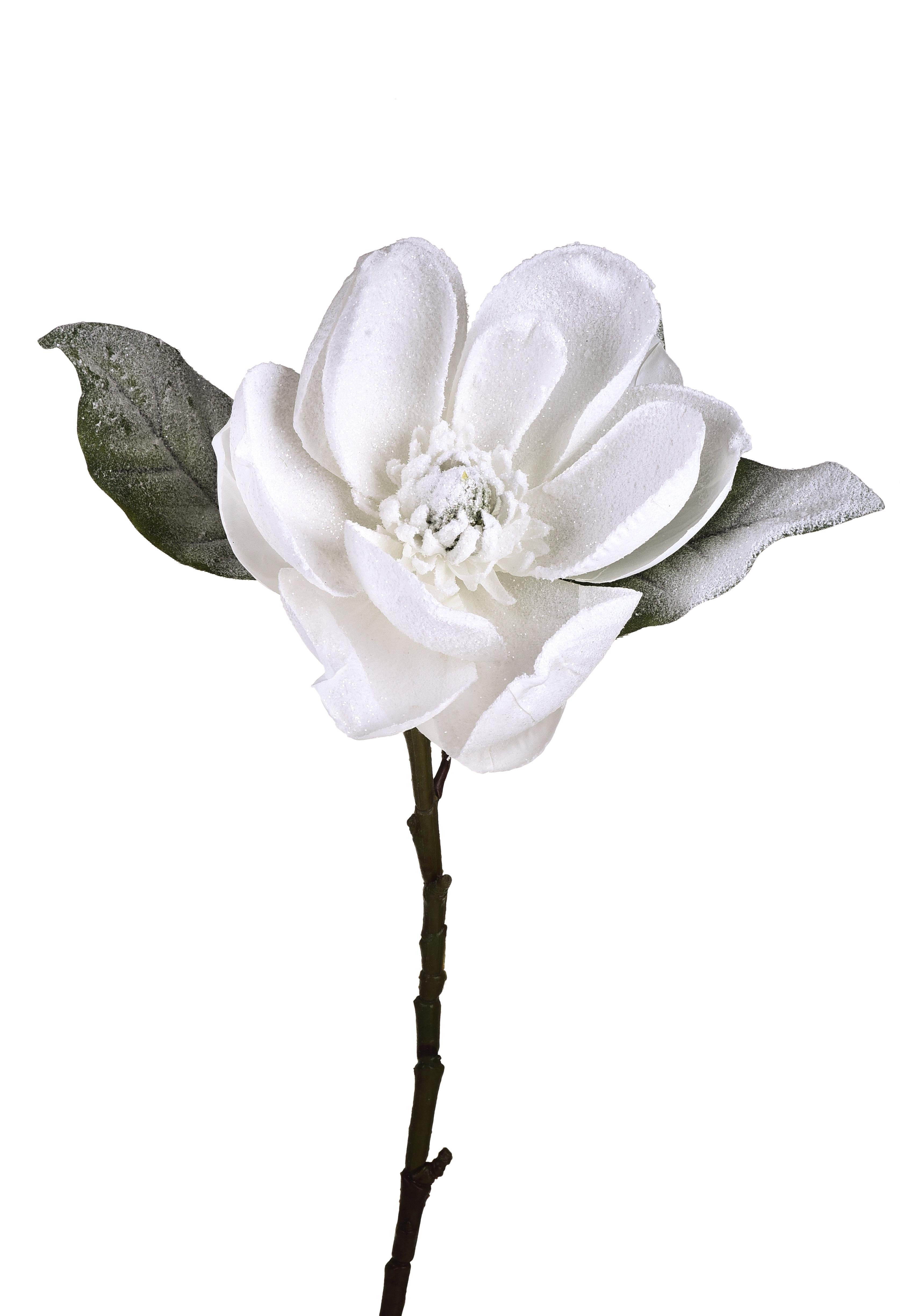 MAGNOLIA SING. C/NEVE 73 CM