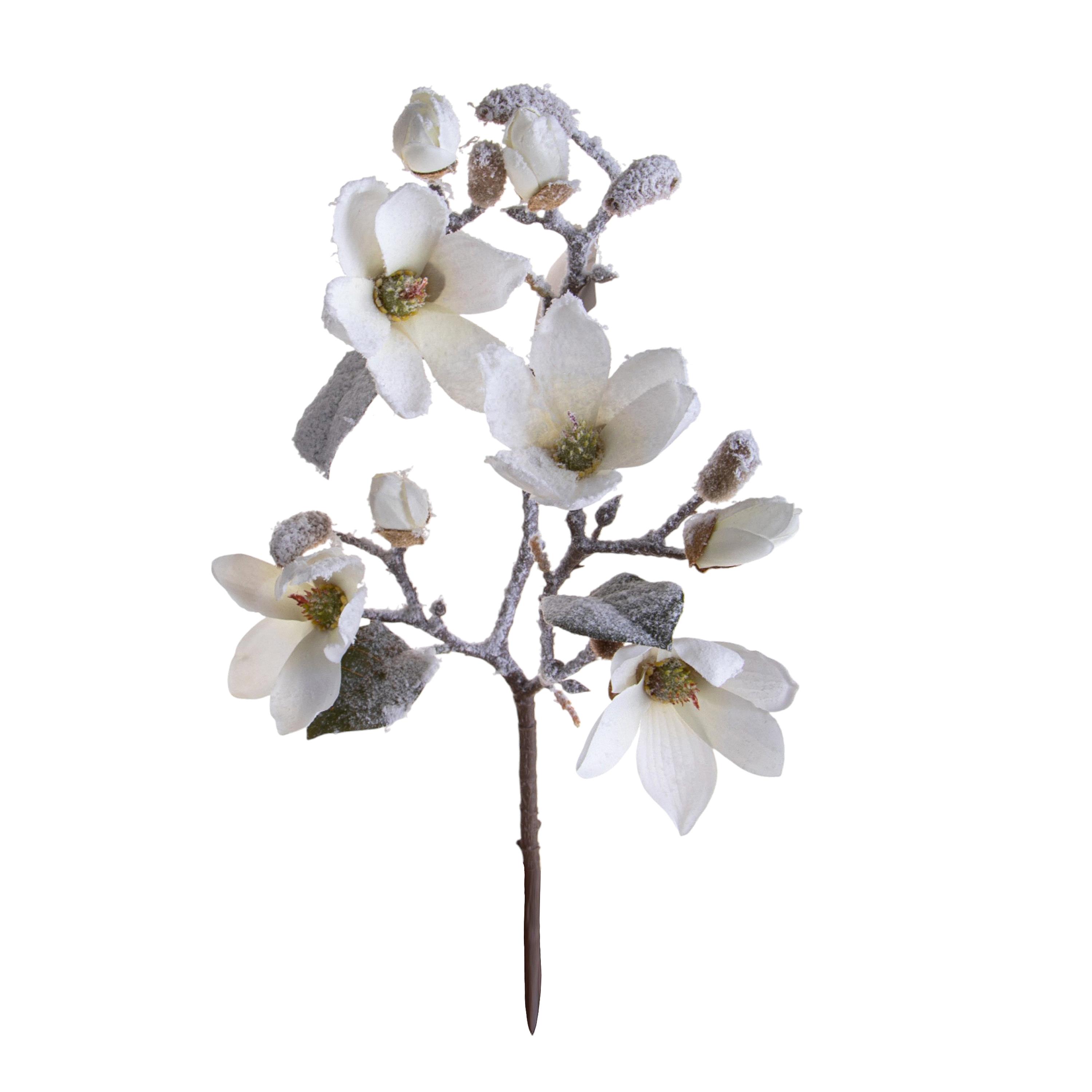 MAGNOLIA MINI X 8 52 CM